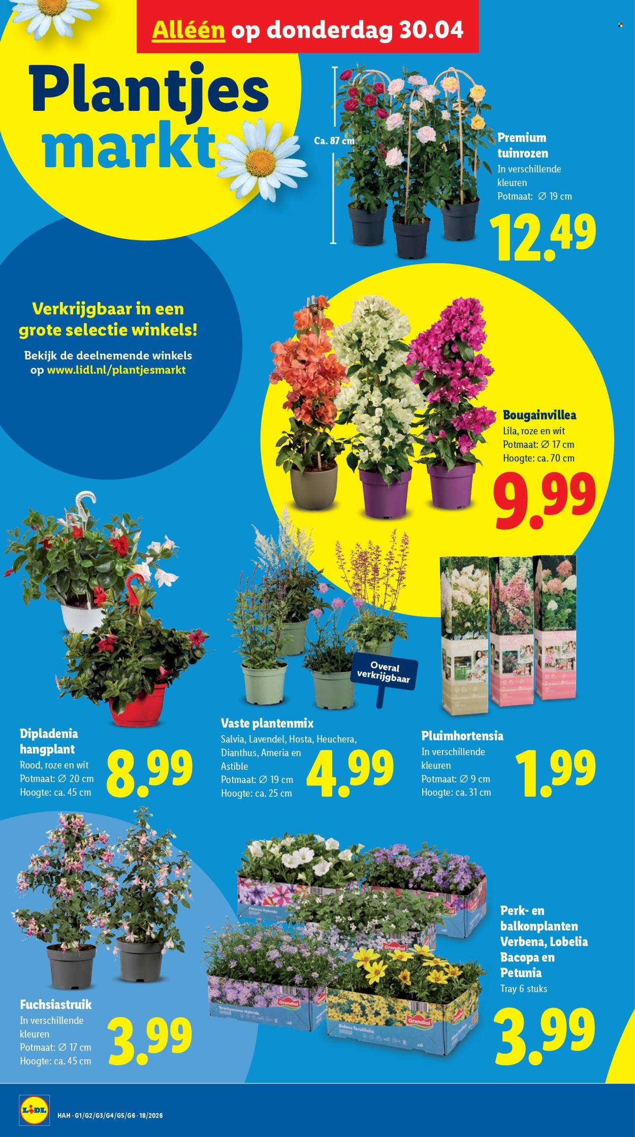 Lidl-aanbieding - 27-4-2026 - 3-5-2026. Pagina 26