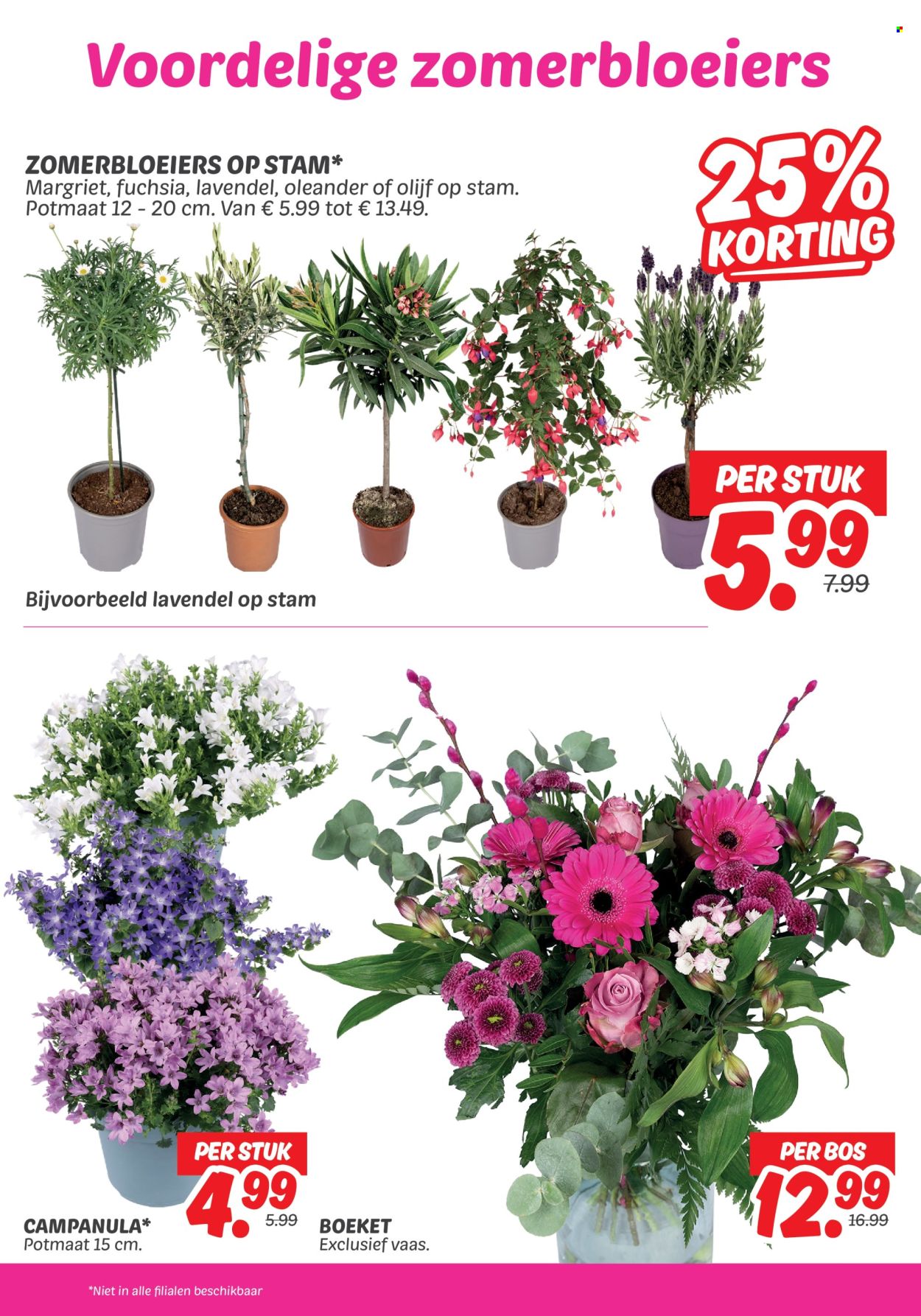 DekaMarkt-aanbieding - 28-4-2026 - 4-5-2026. Pagina 25