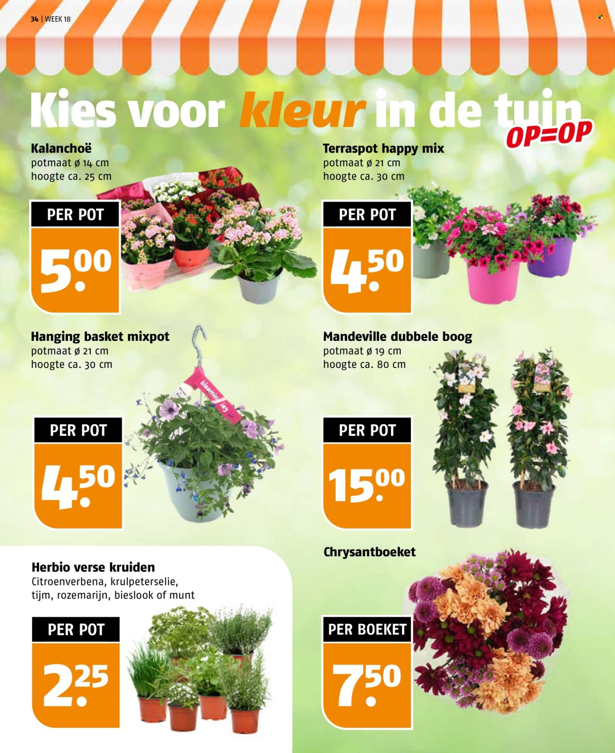 Poiesz-aanbieding - 26-4-2026 - 2-5-2026. Pagina 34
