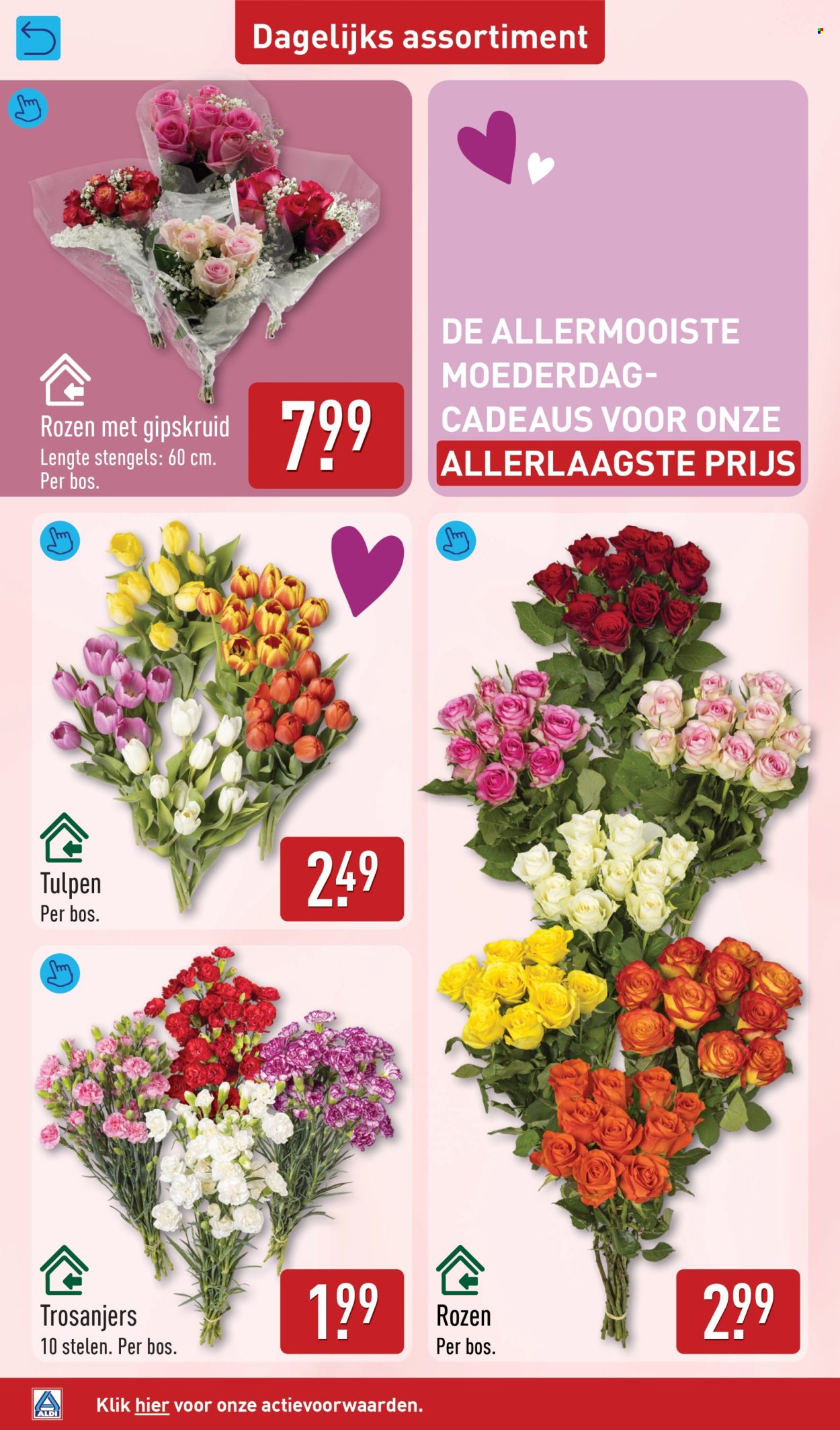Aldi-aanbieding - 4-5-2026 - 10-5-2026. Pagina 38