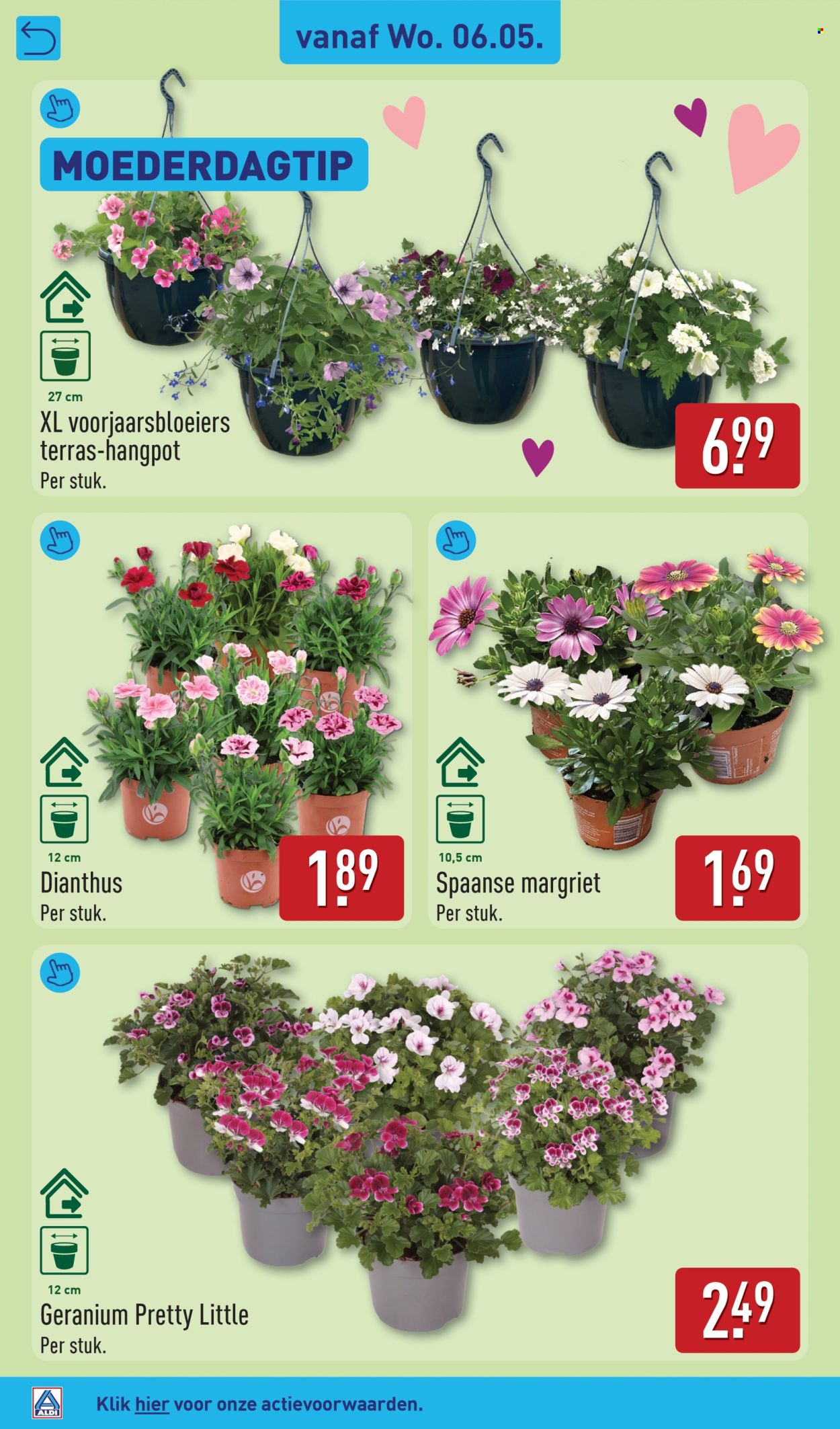 Aldi-aanbieding - 4-5-2026 - 10-5-2026. Pagina 40