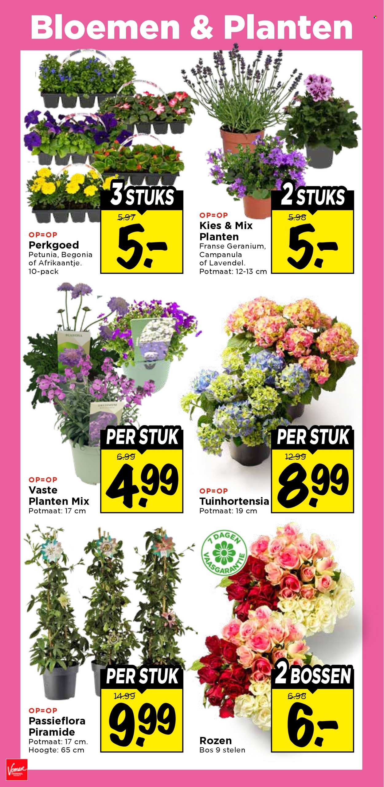 Vomar-aanbieding - 30-4-2026 - 2-5-2026. Pagina 36