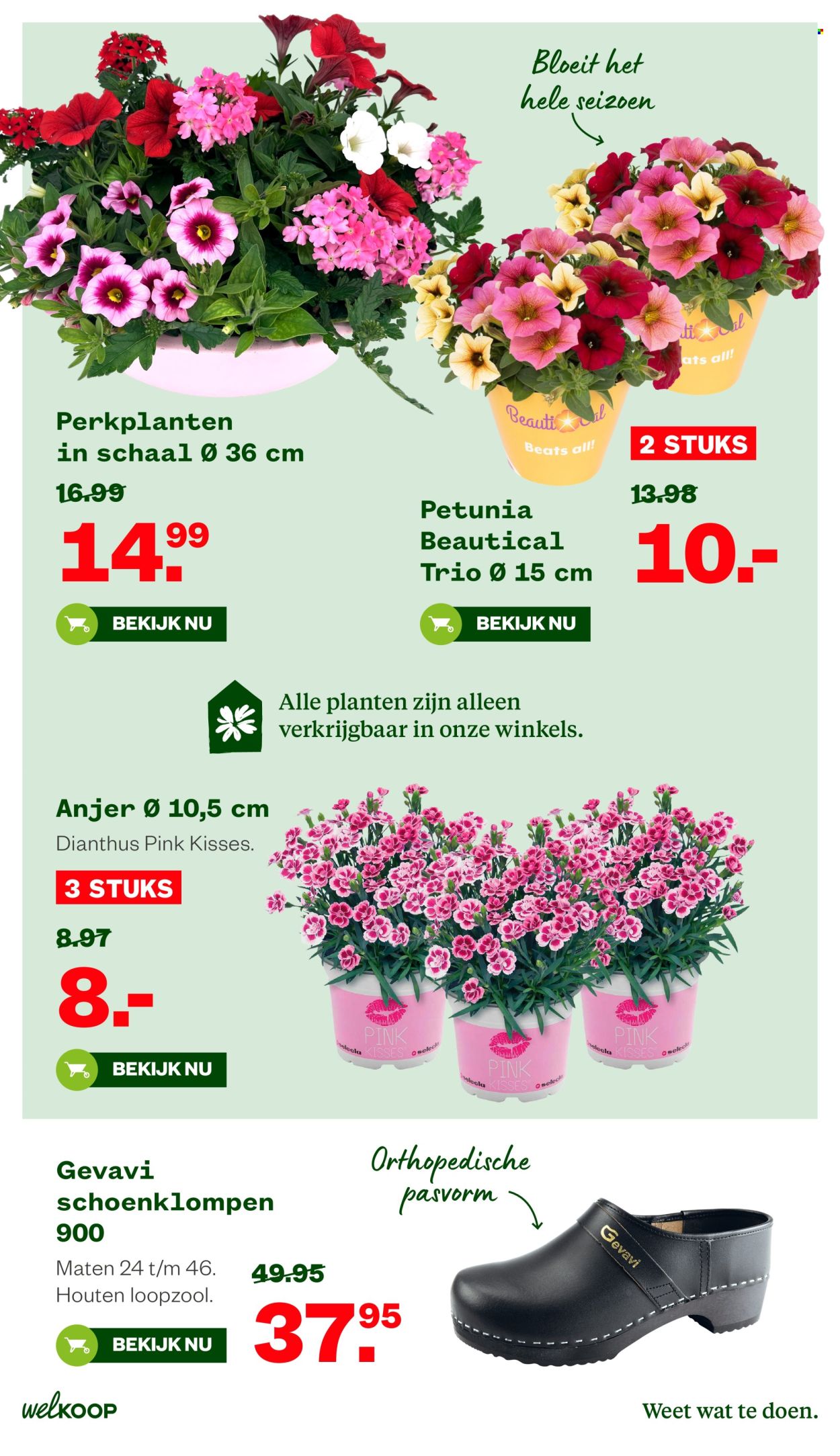 Welkoop-aanbieding - 11-5-2026 - 24-5-2026. Pagina 14
