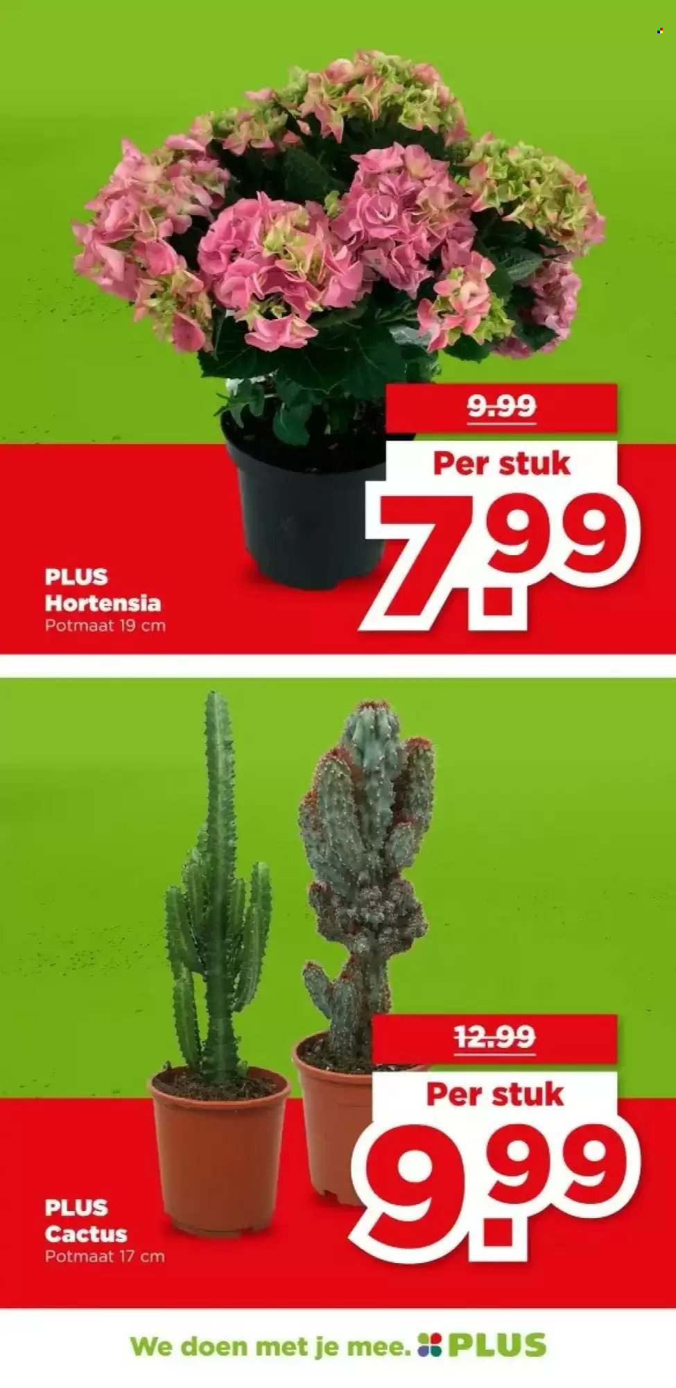 Plus-aanbieding - 27-5-2026 - 2-6-2026. Pagina 37