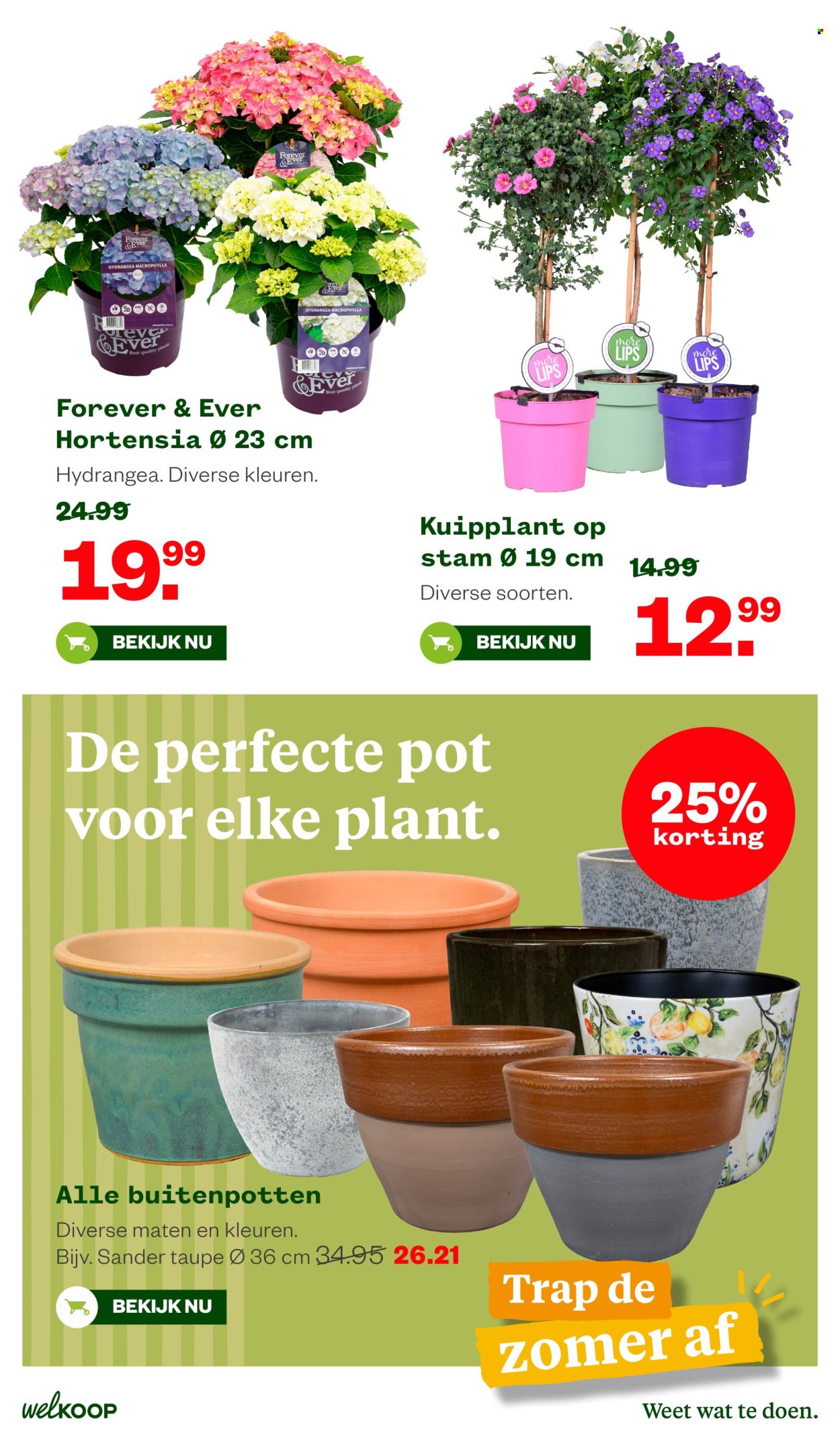 Welkoop-aanbieding - 25-5-2026 - 7-6-2026. Pagina 14