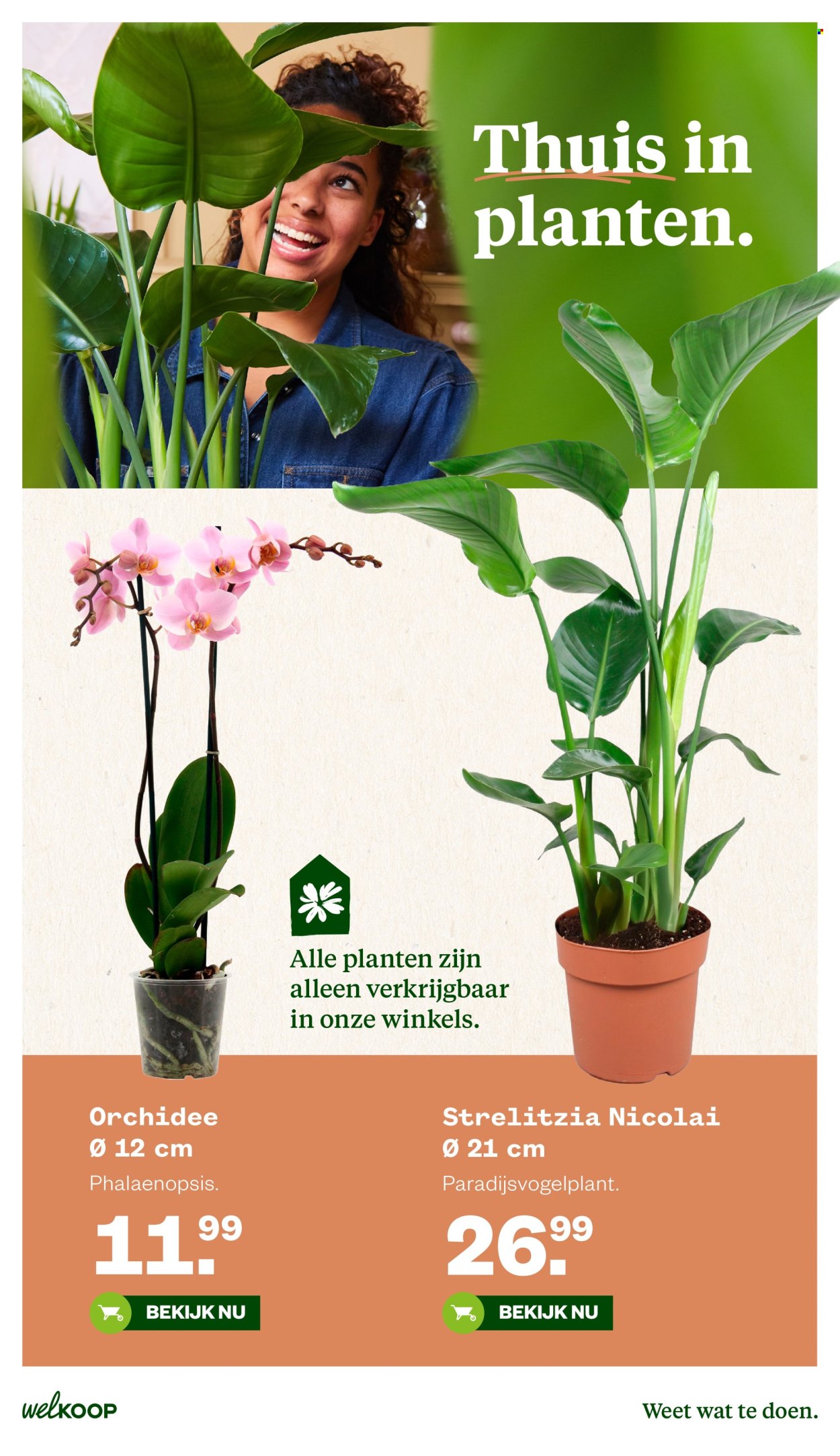 Welkoop-aanbieding - 25-5-2026 - 7-6-2026. Pagina 18
