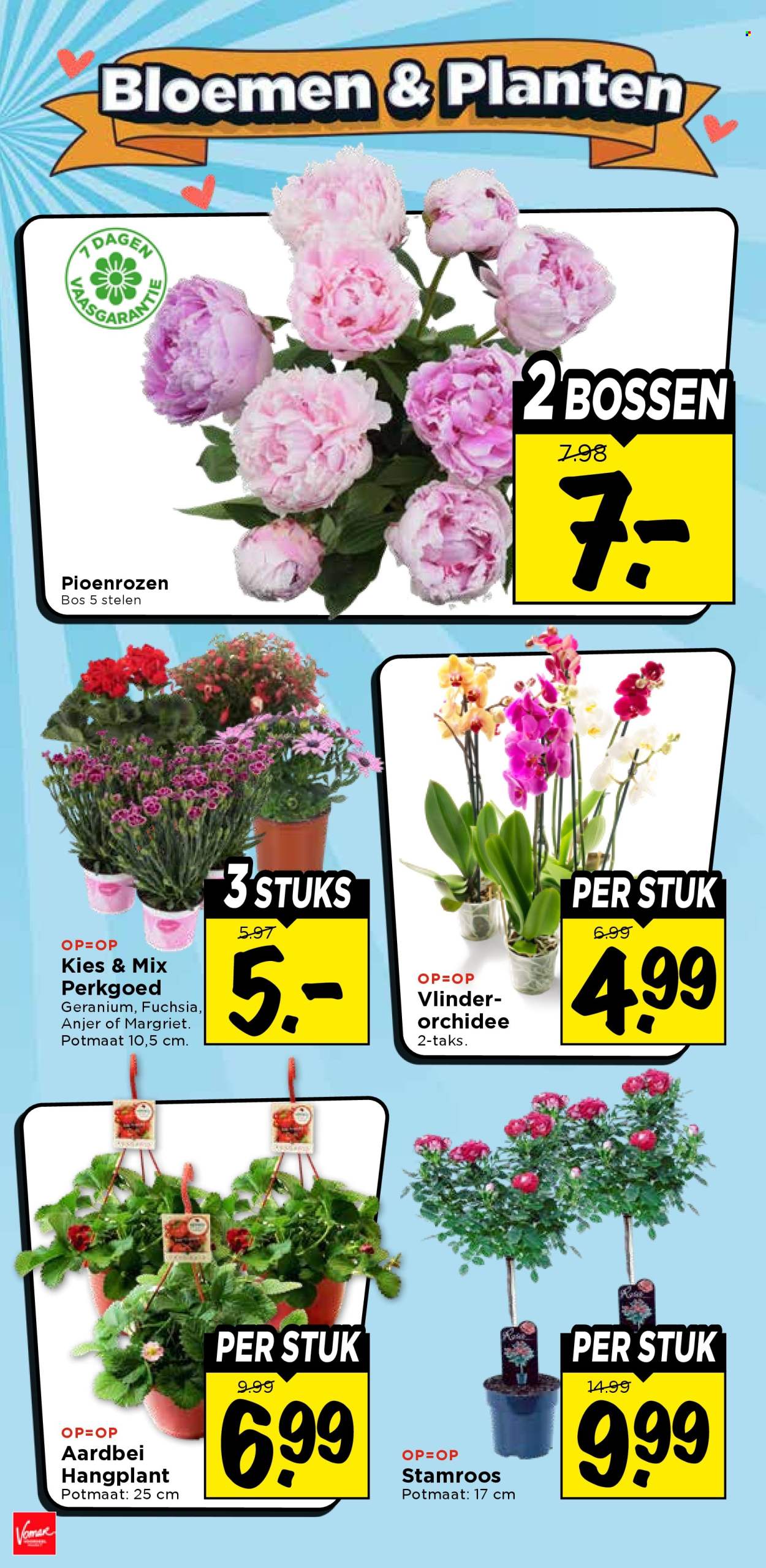 Vomar-aanbieding - 31-5-2026 - 6-6-2026. Pagina 33