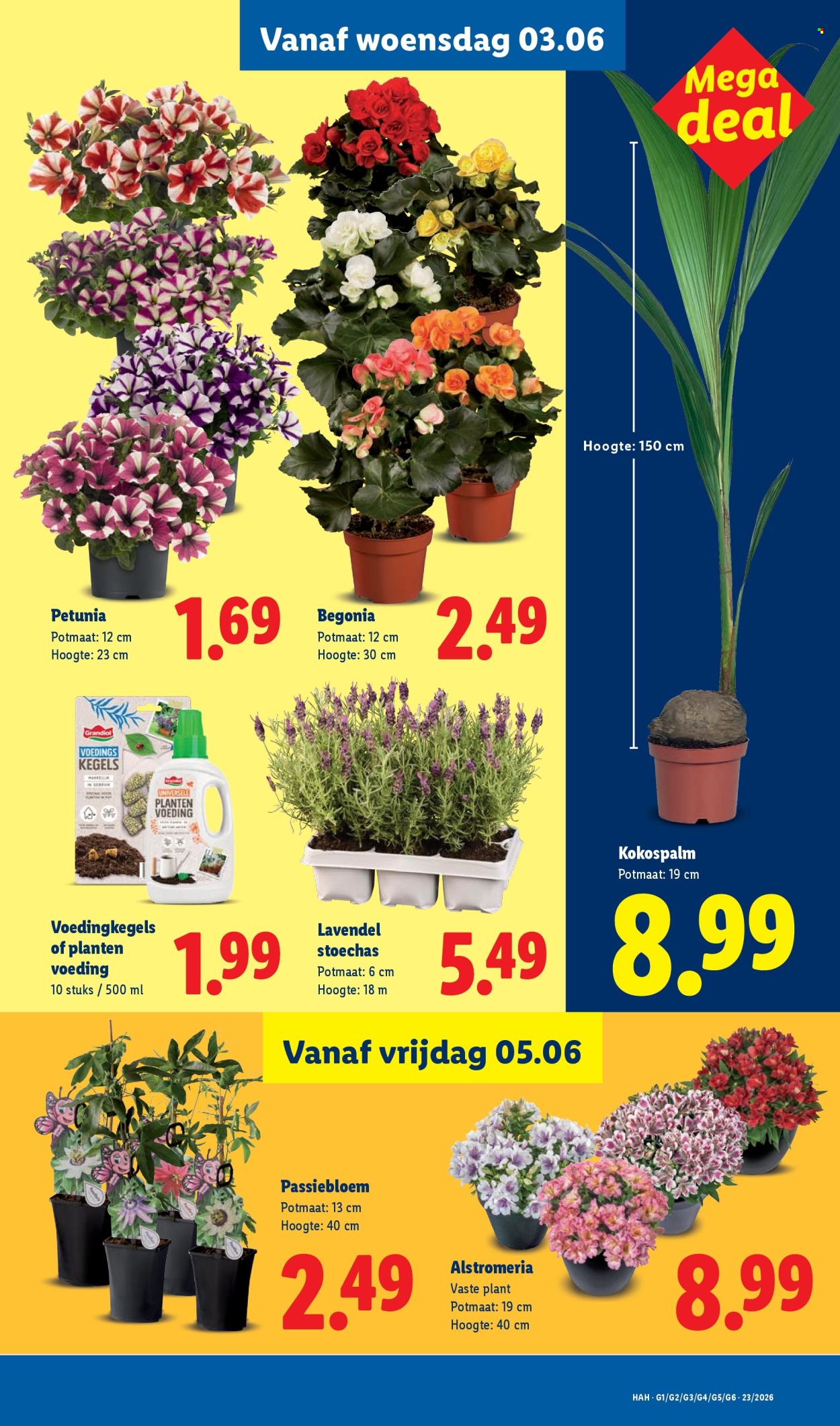 Lidl-aanbieding - 1-6-2026 - 7-6-2026. Pagina 24