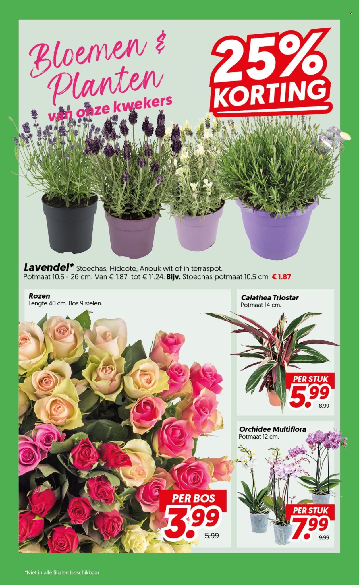 DekaMarkt-aanbieding - 2-6-2026 - 8-6-2026. Pagina 20