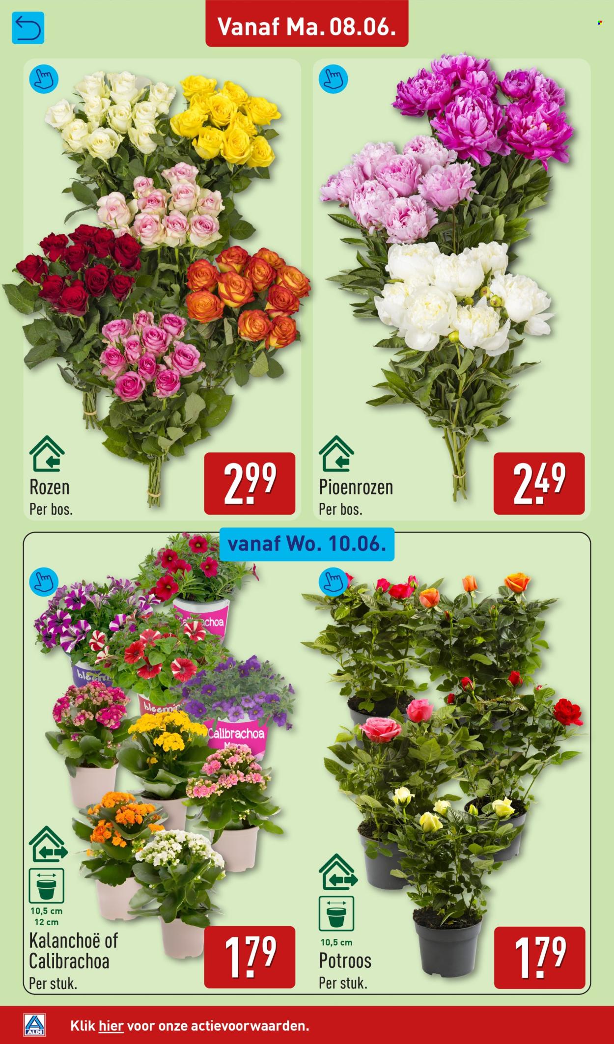 Aldi-aanbieding - 8-6-2026 - 14-6-2026. Pagina 30