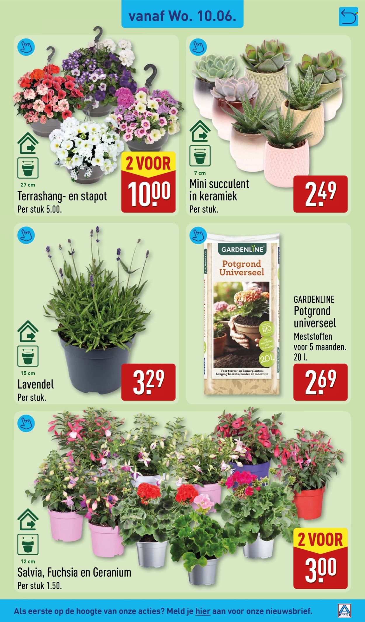 Aldi-aanbieding - 8-6-2026 - 14-6-2026. Pagina 31