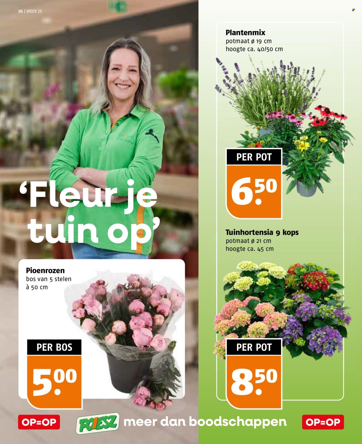 Poiesz-aanbieding - 14-6-2026 - 20-6-2026. Pagina 36