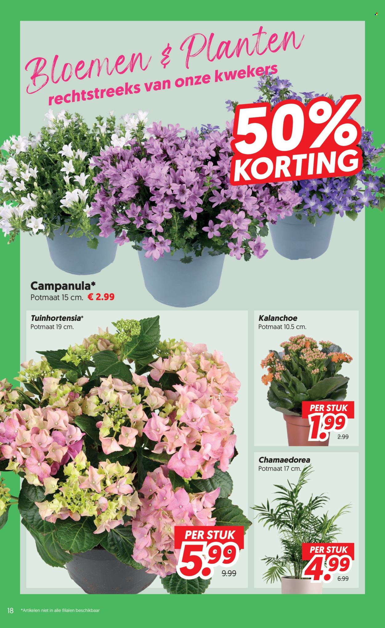 DekaMarkt-aanbieding - 16-6-2026 - 22-6-2026. Pagina 18