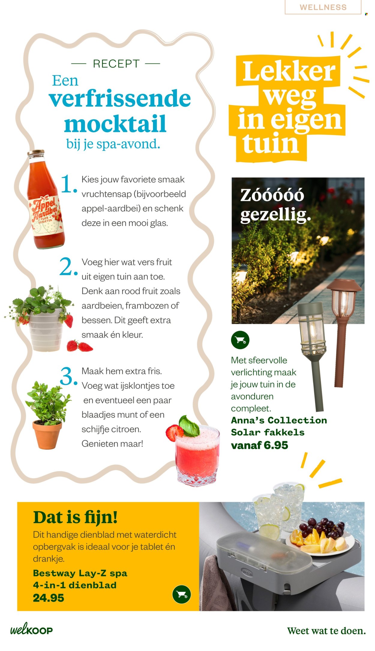 Welkoop-aanbieding - 22-6-2026 - 23-8-2026. Pagina 29