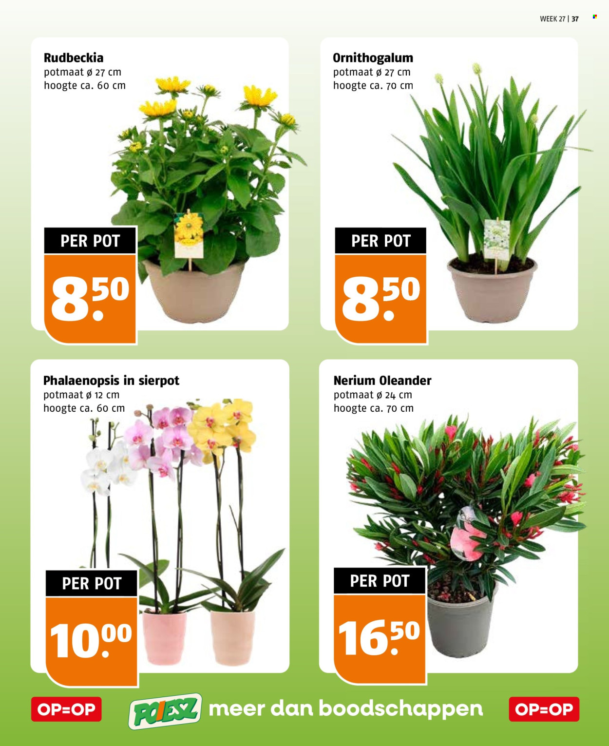 Poiesz-aanbieding - 28-6-2026 - 4-7-2026. Pagina 37
