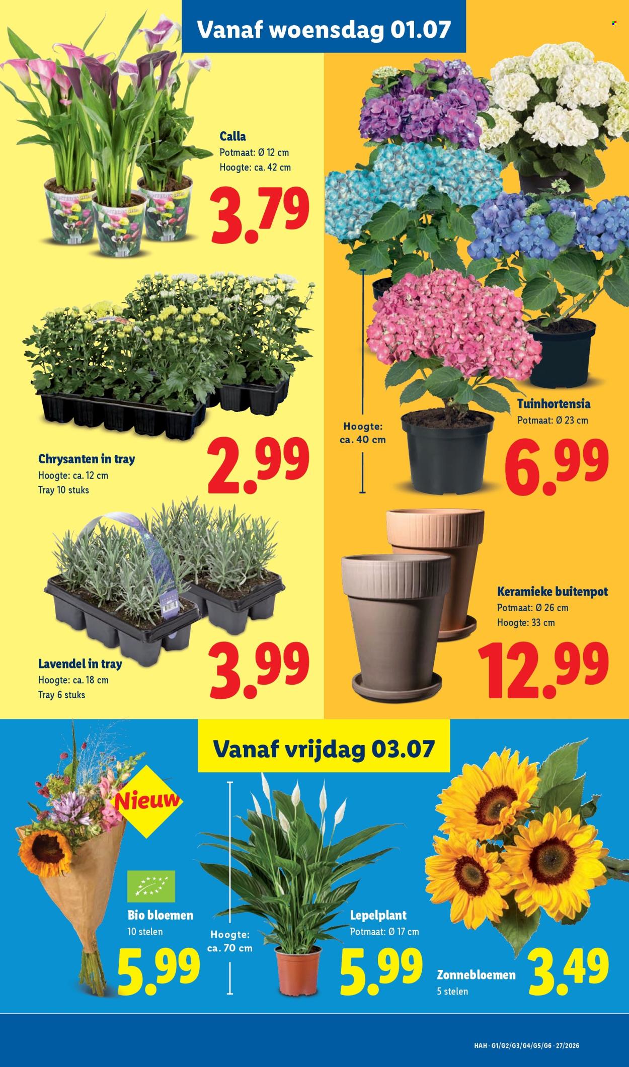 Lidl-aanbieding - 29-6-2026 - 5-7-2026. Pagina 23
