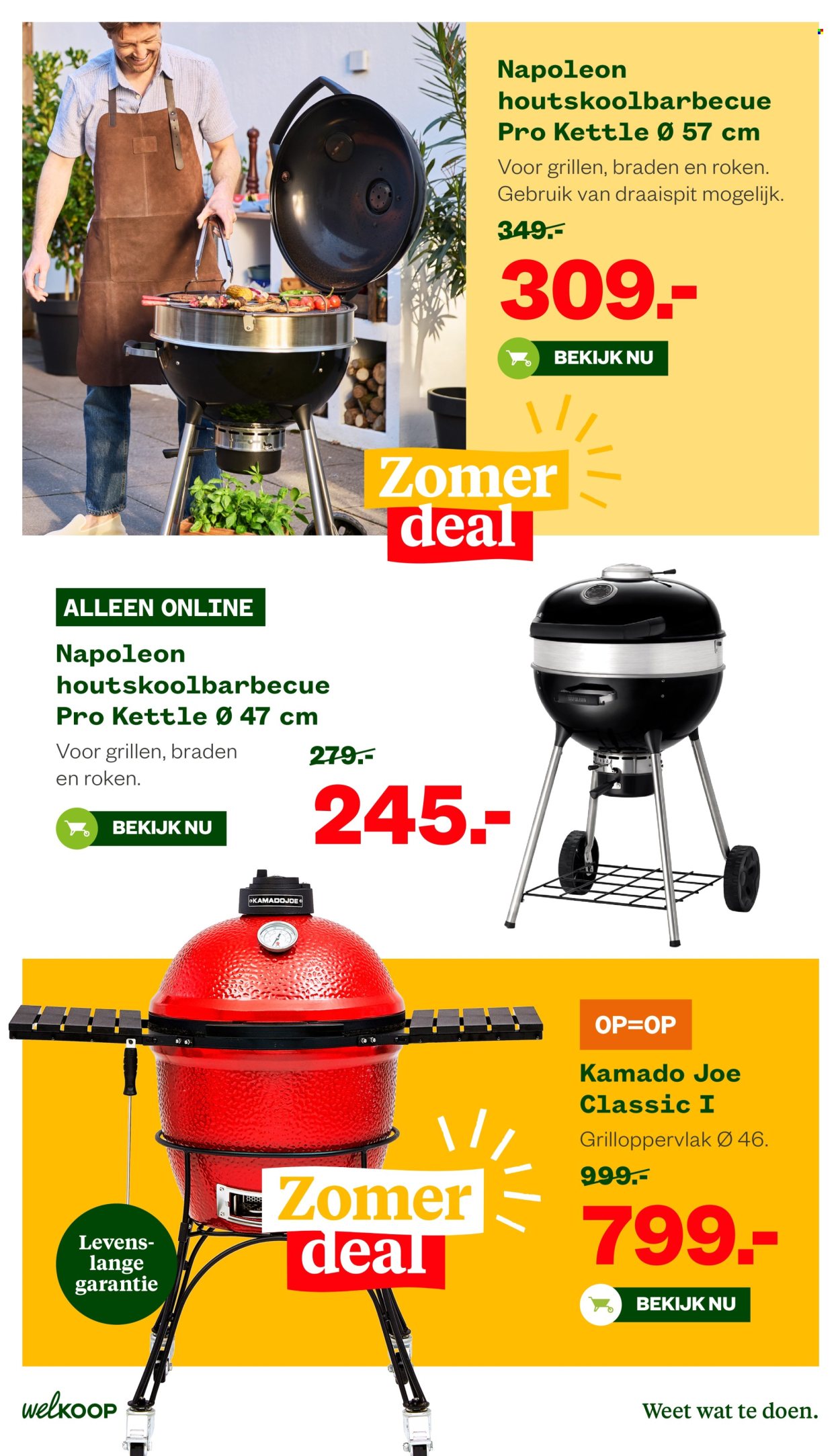 Welkoop-aanbieding - 26-6-2026 - 28-6-2026. Pagina 10