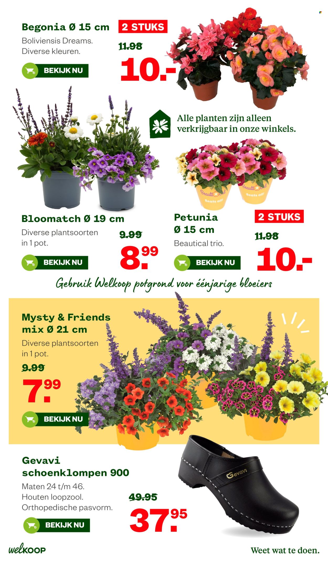 Welkoop-aanbieding - 26-6-2026 - 28-6-2026. Pagina 15