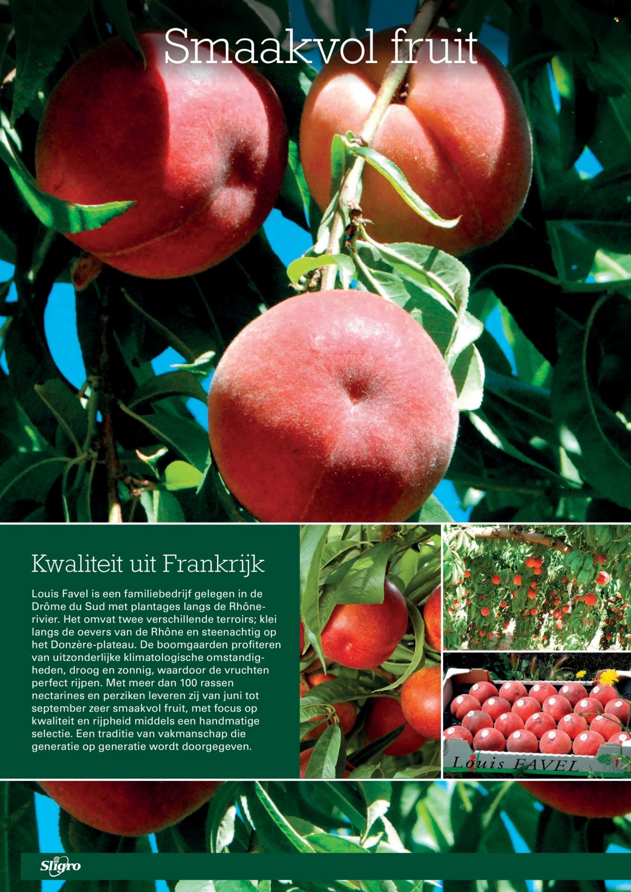 Sligro-aanbieding - 2-7-2026 - 20-7-2026. Pagina 10