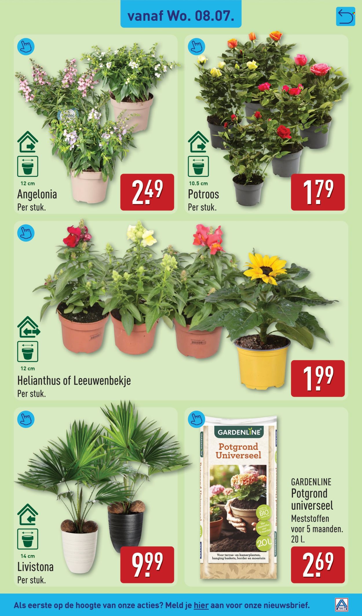 Aldi-aanbieding - 6-7-2026 - 12-7-2026. Pagina 37