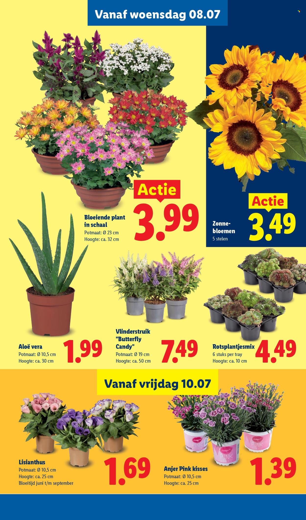 Lidl-aanbieding - 6-7-2026 - 12-7-2026. Pagina 16