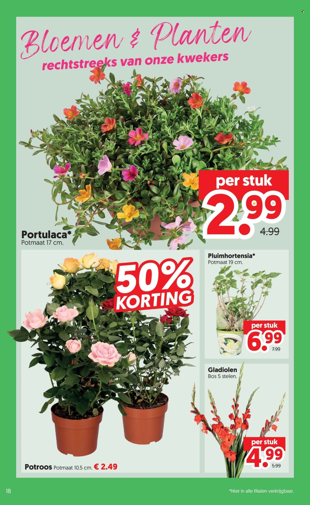 DekaMarkt-aanbieding - 7-7-2026 - 13-7-2026. Pagina 18