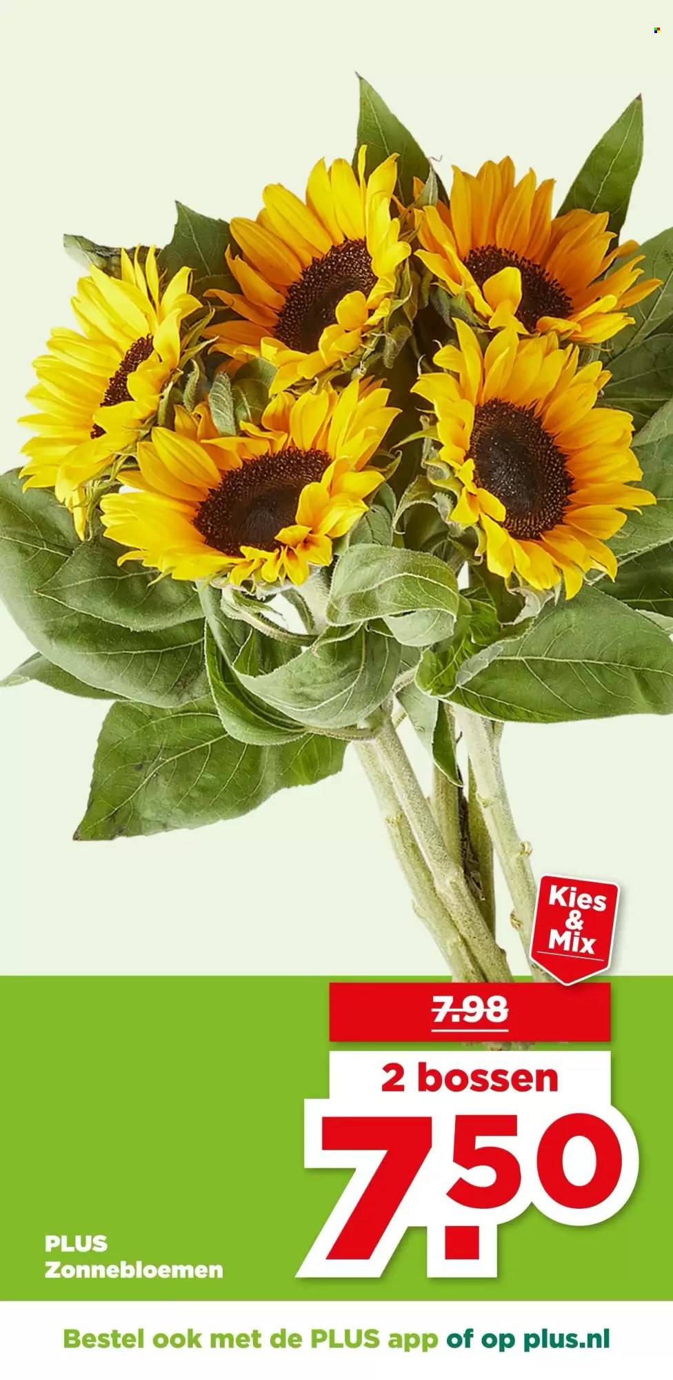 Plus-aanbieding - 8-7-2026 - 14-7-2026. Pagina 41