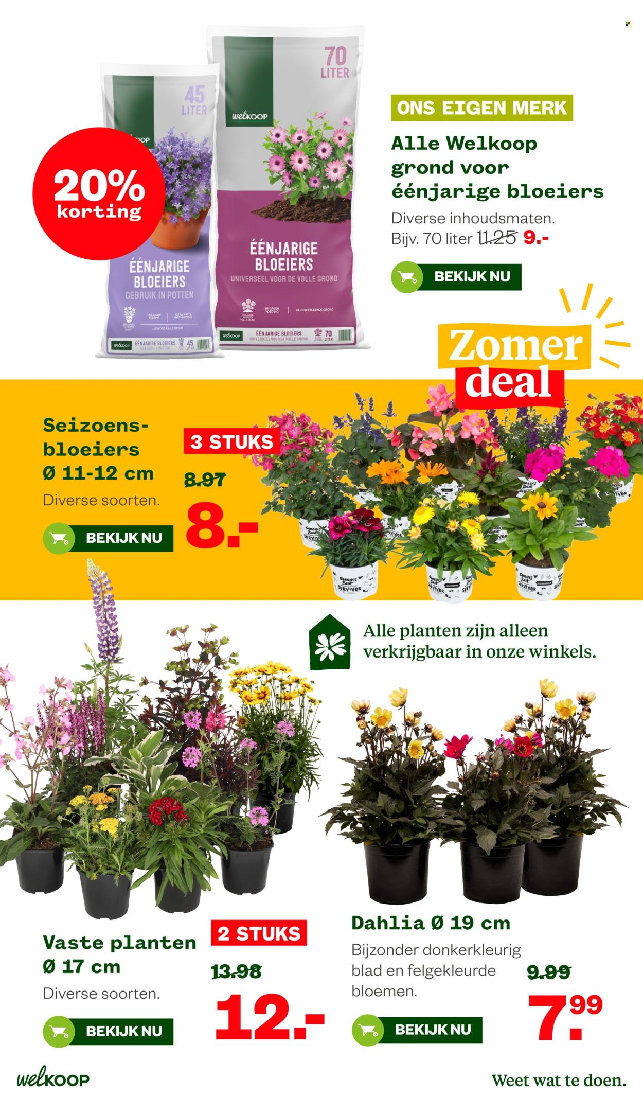 Welkoop-aanbieding - 6-7-2026 - 19-7-2026. Pagina 18