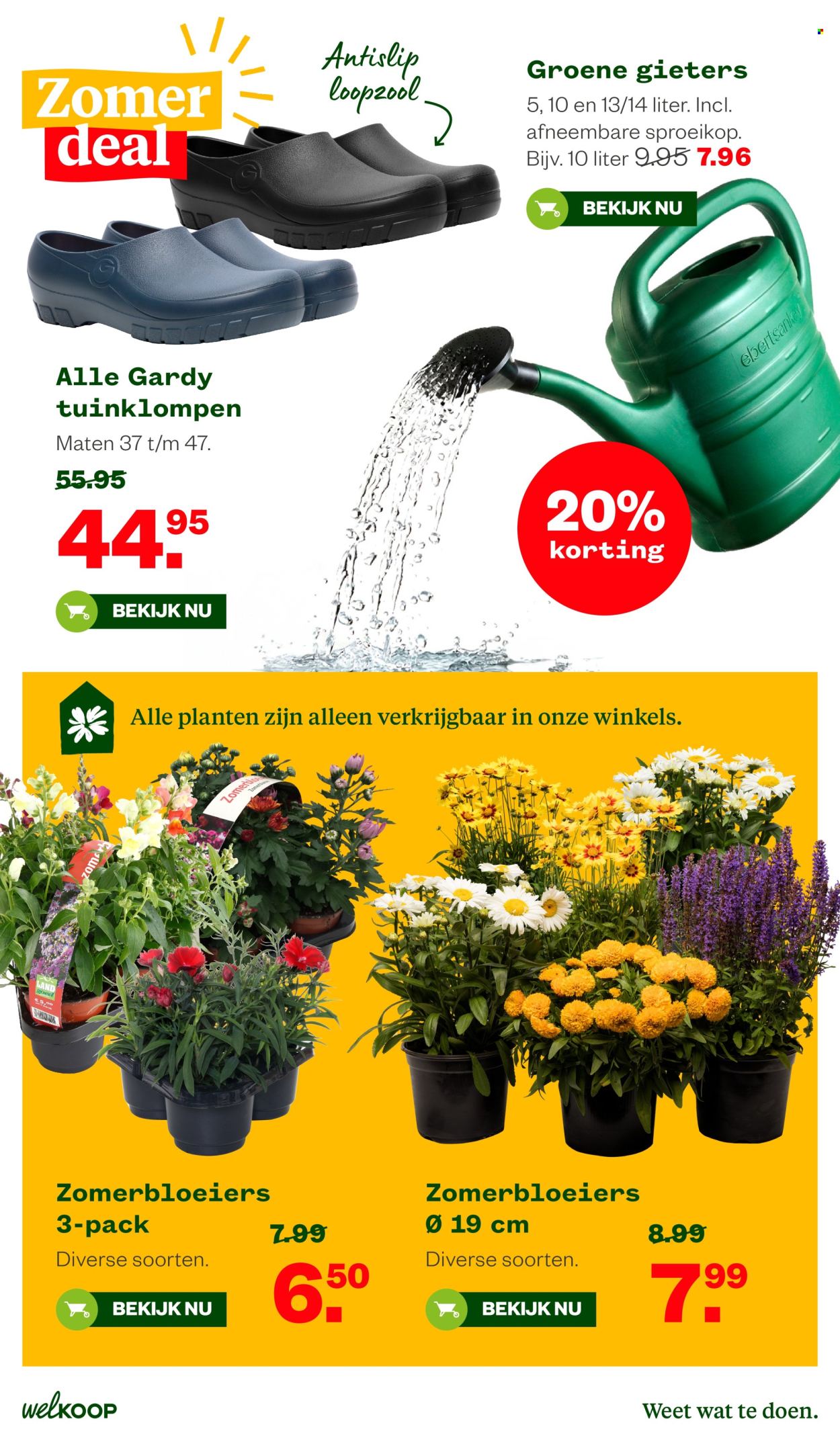 Welkoop-aanbieding - 6-7-2026 - 19-7-2026. Pagina 19