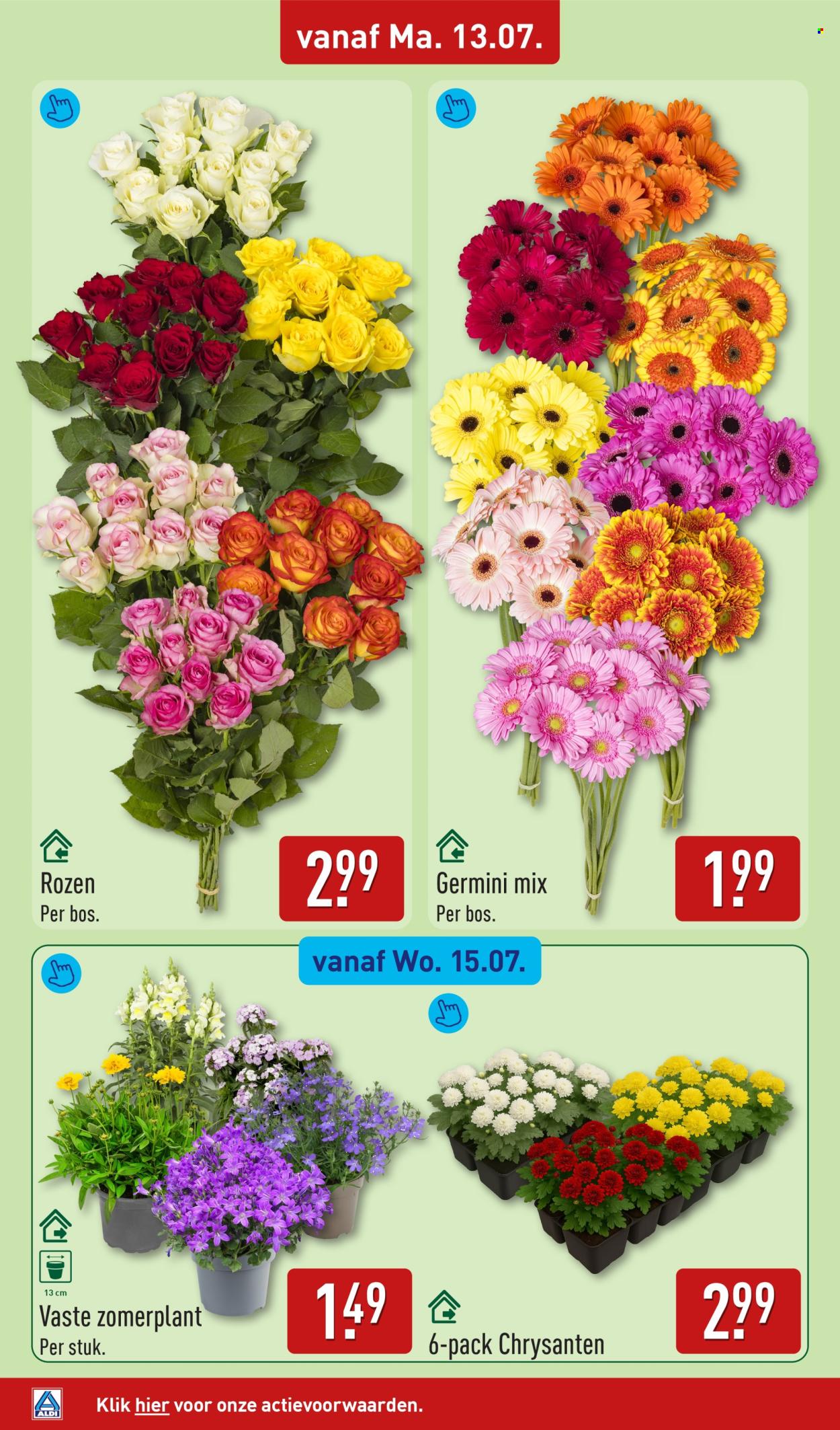 Aldi-aanbieding - 13-7-2026 - 19-7-2026. Pagina 42