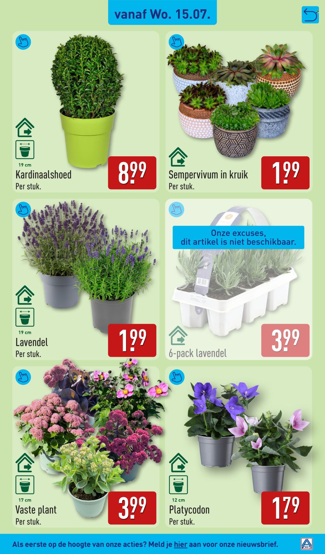 Aldi-aanbieding - 13-7-2026 - 19-7-2026. Pagina 43