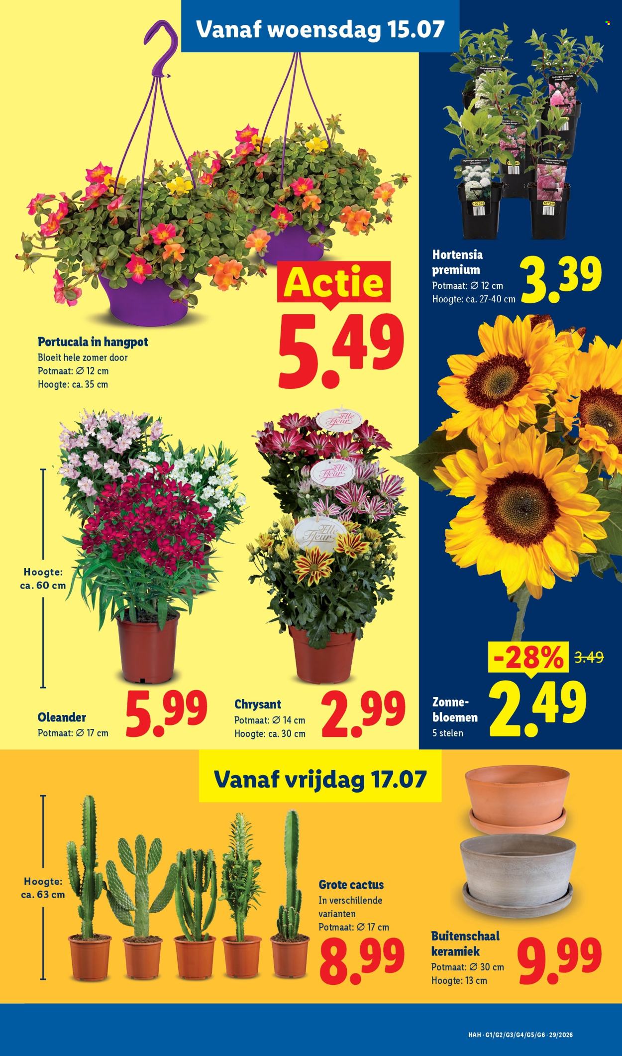 Lidl-aanbieding - 13-7-2026 - 19-7-2026. Pagina 17
