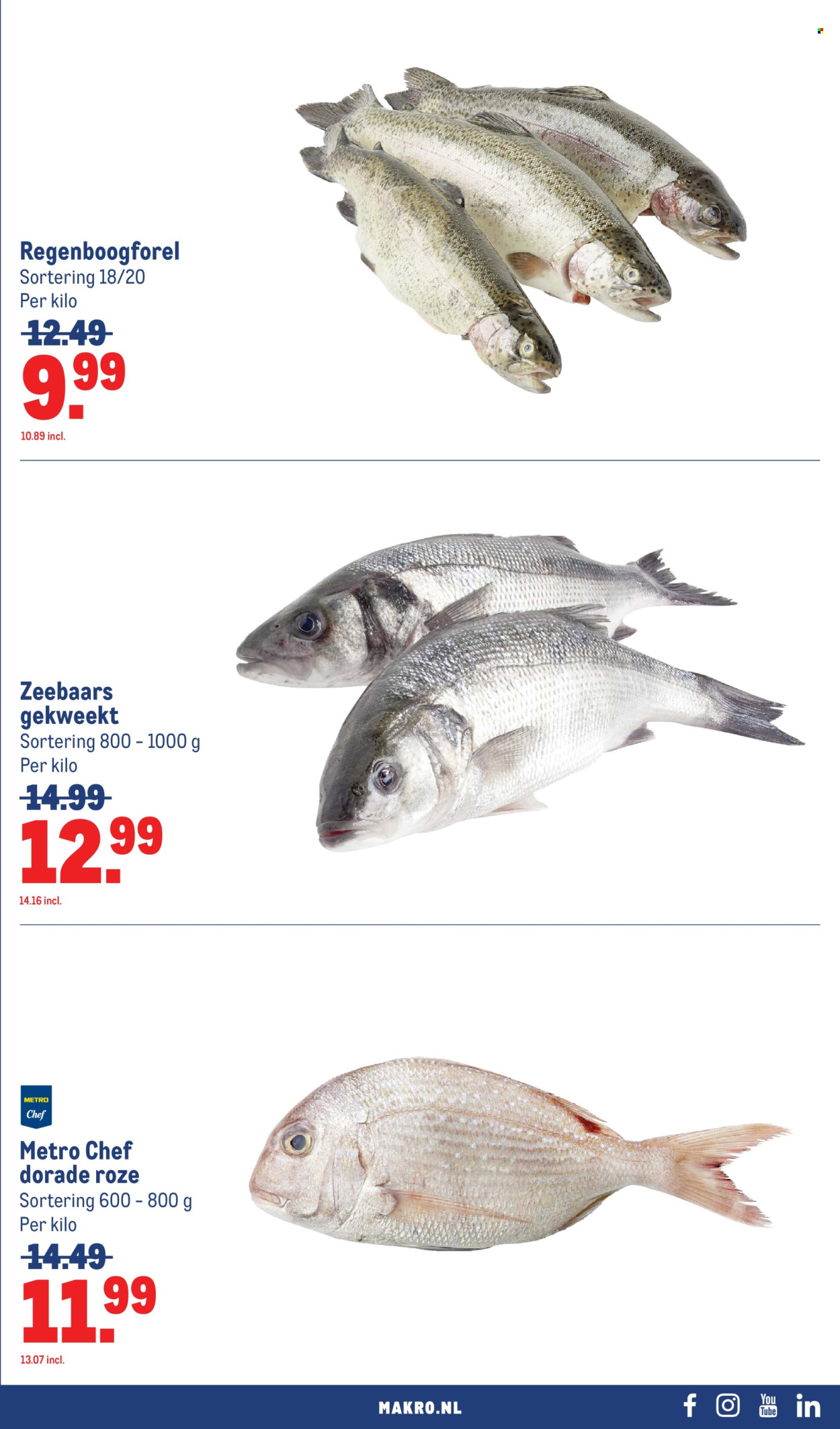 Makro-aanbieding - 15-7-2026 - 26-7-2026. Pagina 21