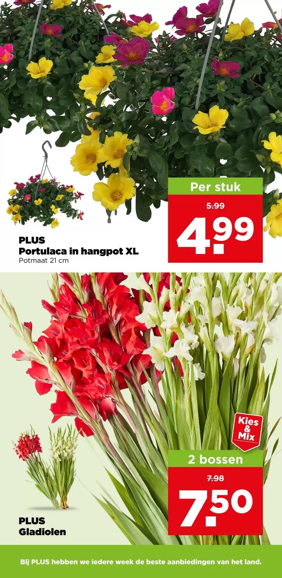 Plus-aanbieding - 15-7-2026 - 21-7-2026. Pagina 39