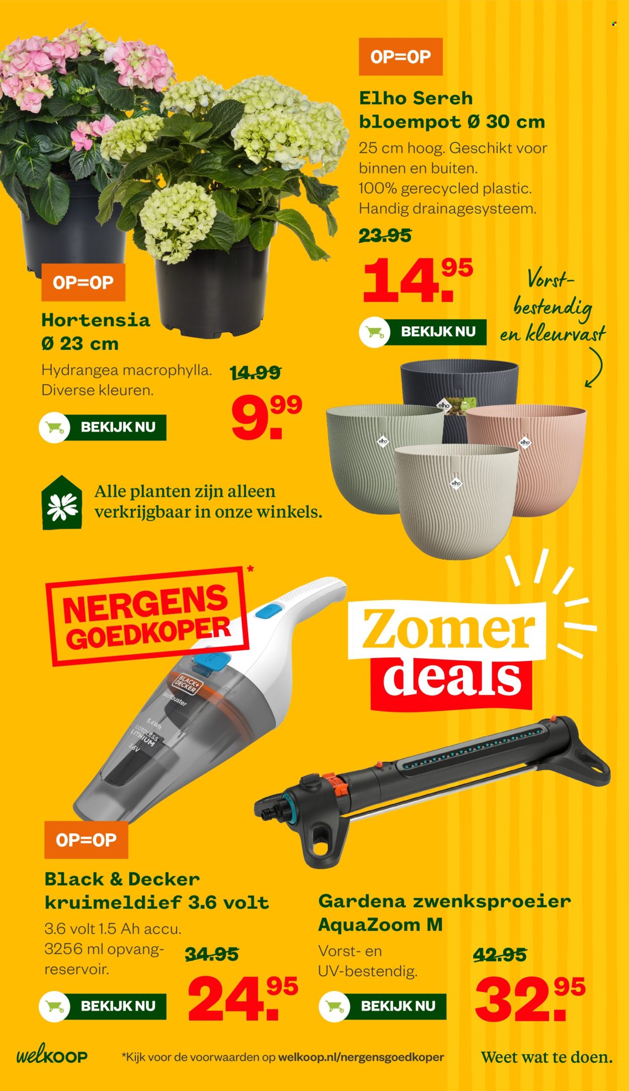 Welkoop-aanbieding - 6-7-2026 - 19-7-2026. Pagina 6