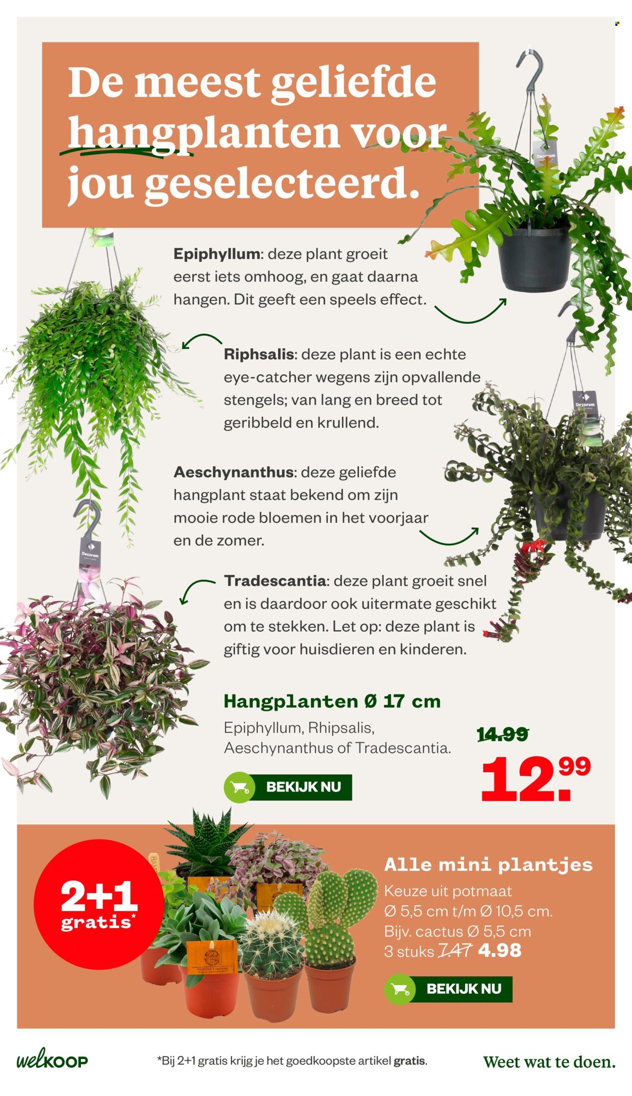 Welkoop-aanbieding - 6-7-2026 - 19-7-2026. Pagina 8