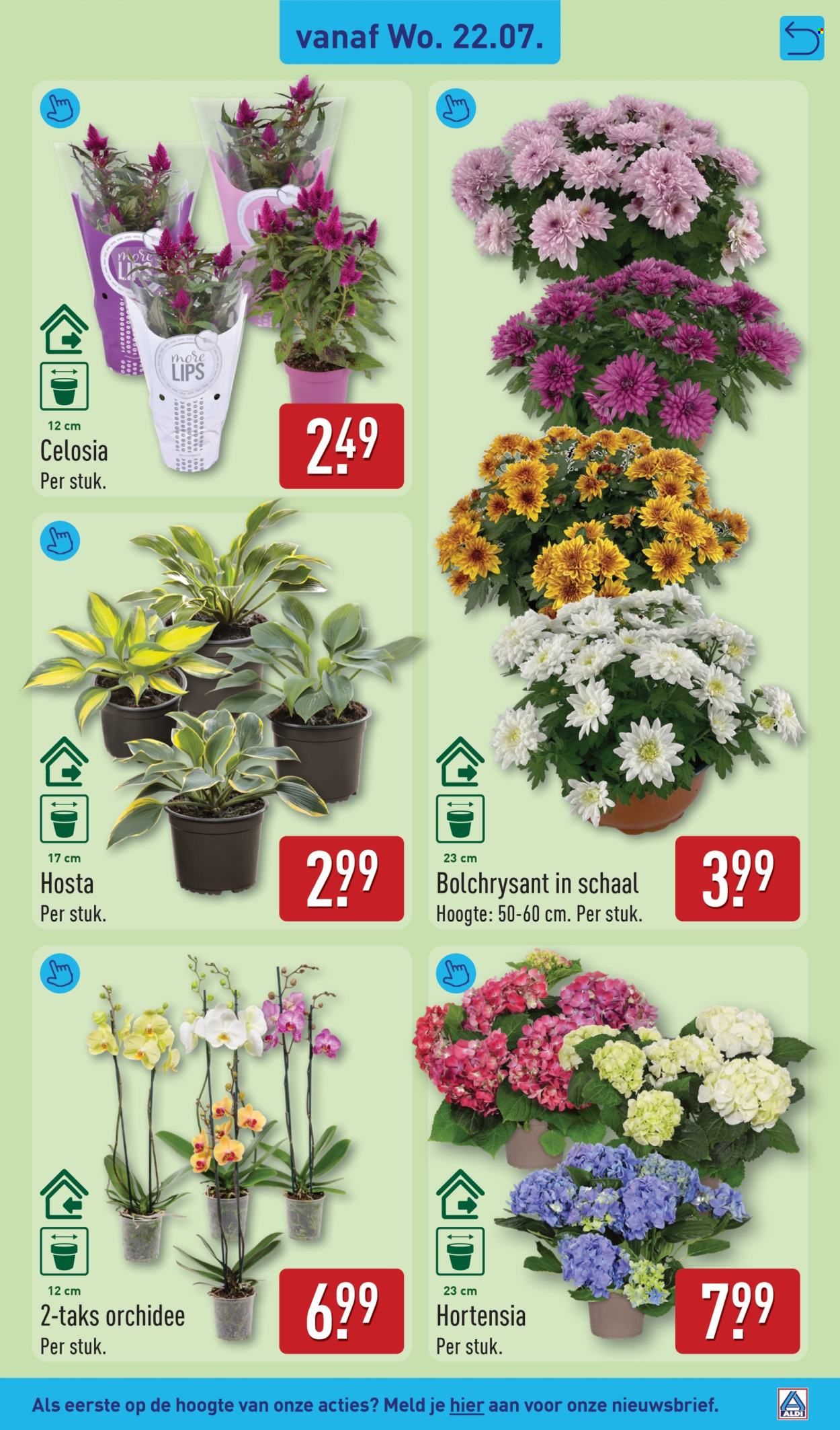 Aldi-aanbieding - 20-7-2026 - 26-7-2026. Pagina 37