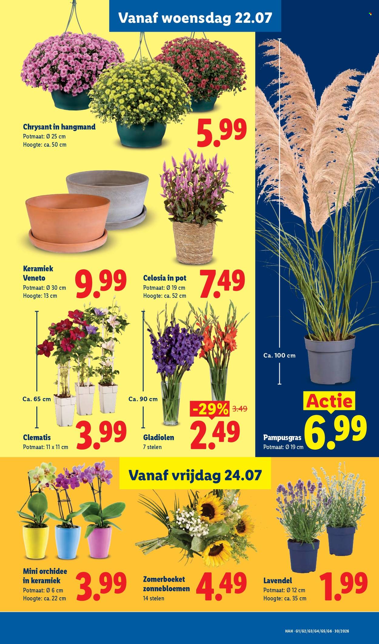 Lidl-aanbieding - 20-7-2026 - 26-7-2026. Pagina 14