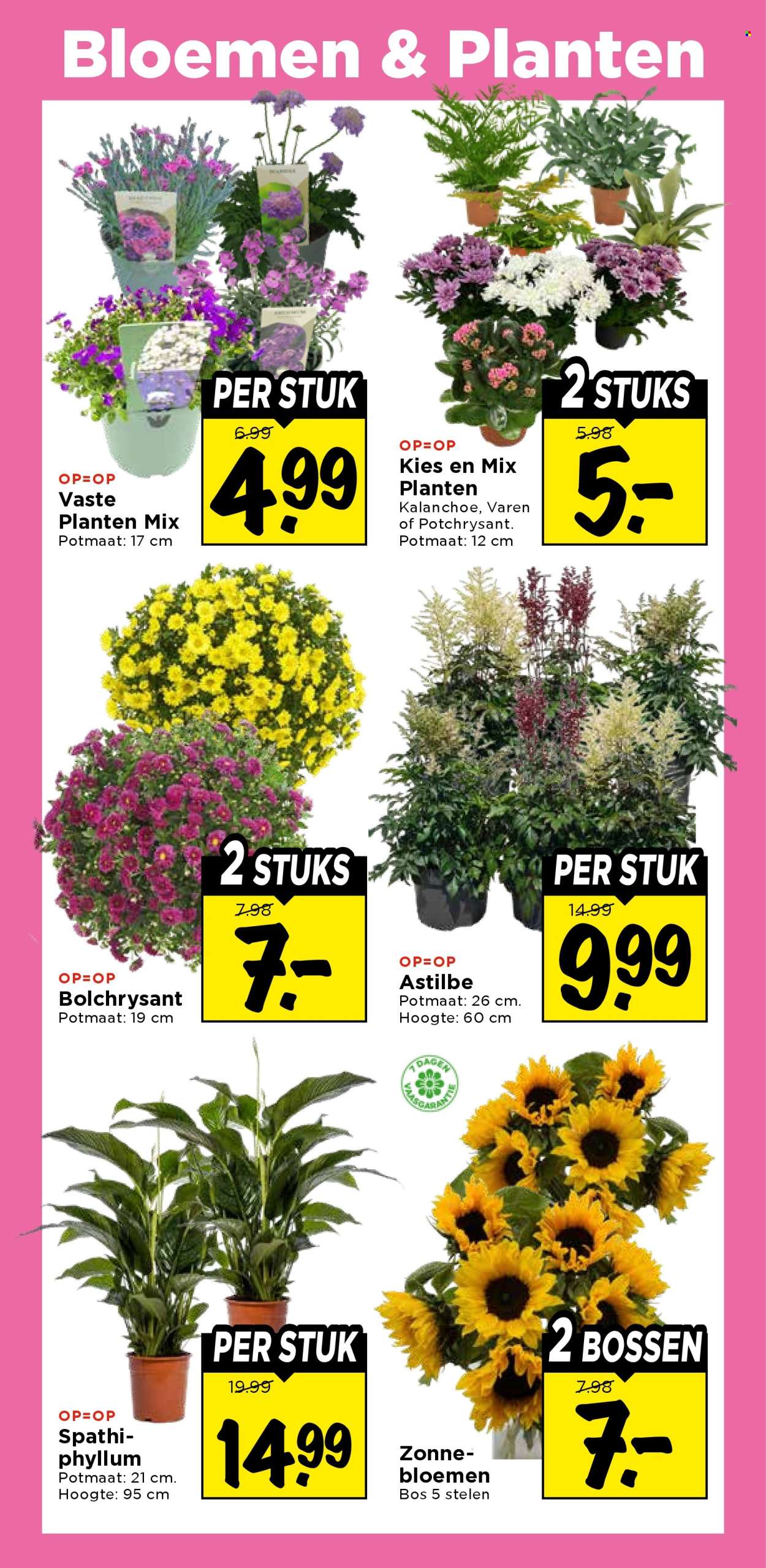 Vomar-aanbieding - 19-7-2026 - 25-7-2026. Pagina 29