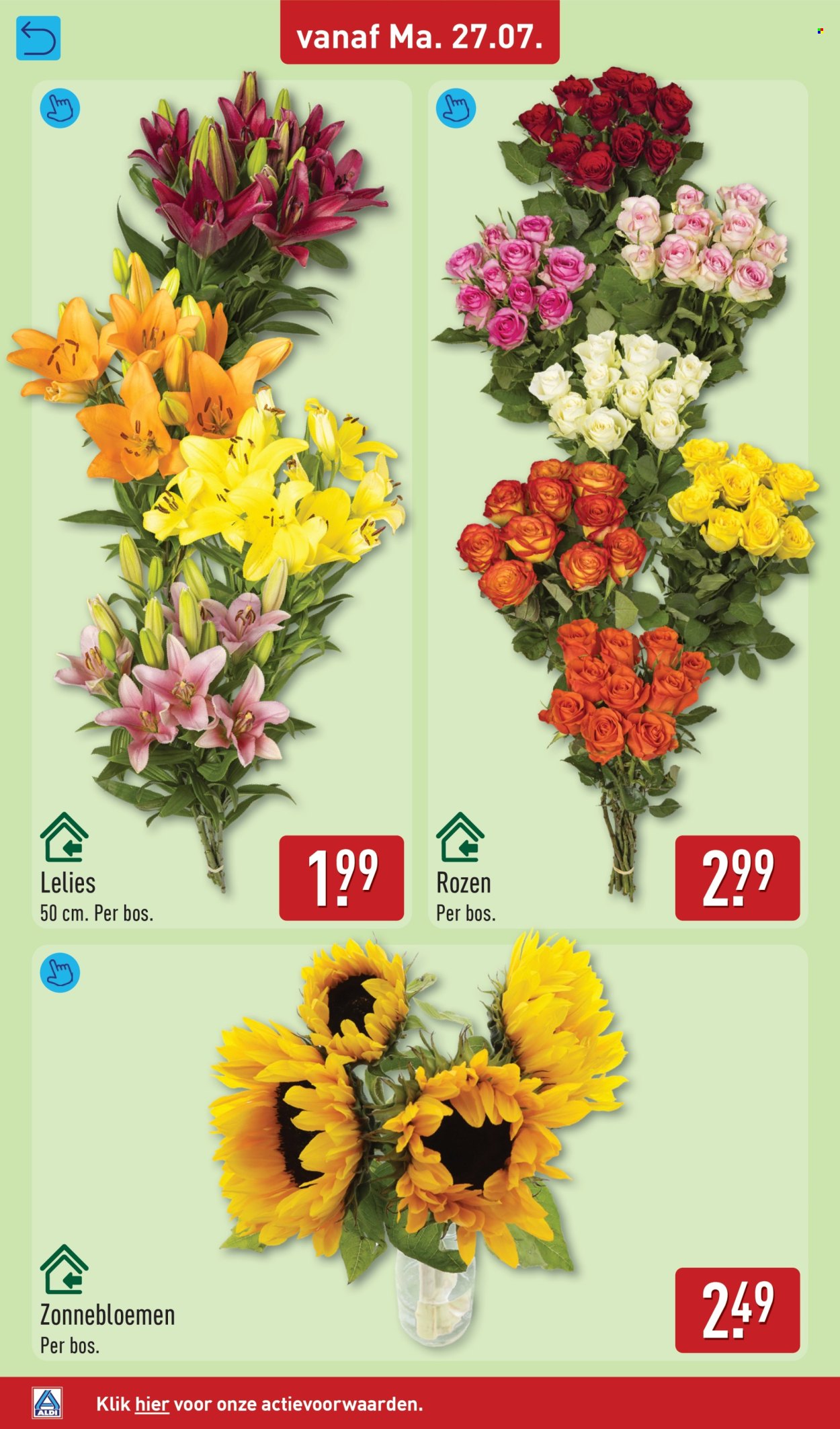 Aldi-aanbieding - 27-7-2026 - 2-8-2026. Pagina 34