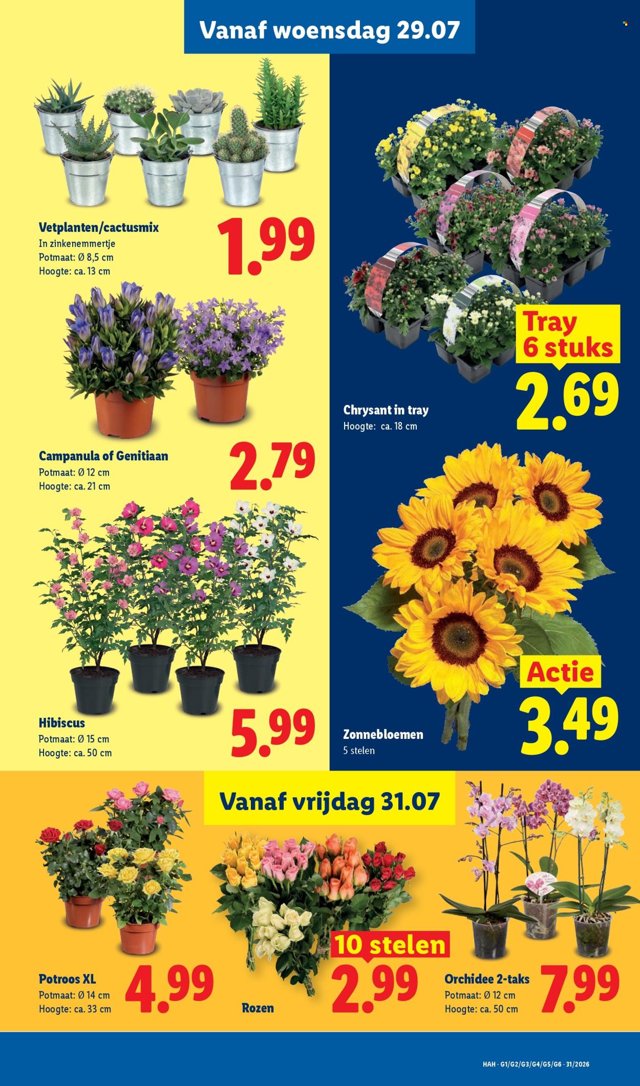 Lidl-aanbieding - 27-7-2026 - 2-8-2026. Pagina 23