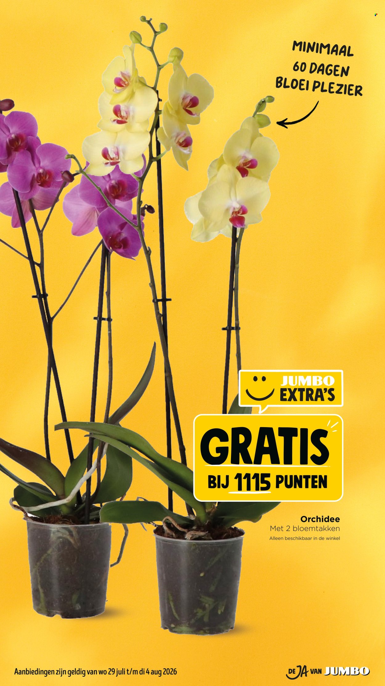 Jumbo-aanbieding - 29-7-2026 - 4-8-2026. Pagina 6