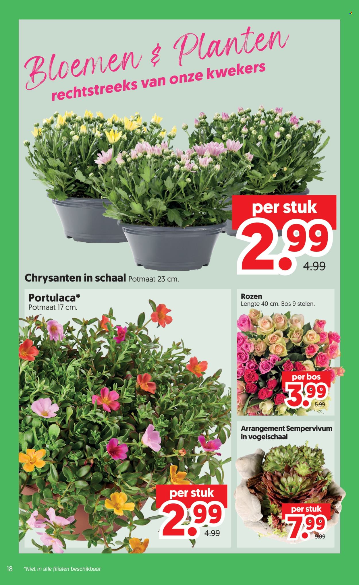 DekaMarkt-aanbieding - 28-7-2026 - 3-8-2026. Pagina 18