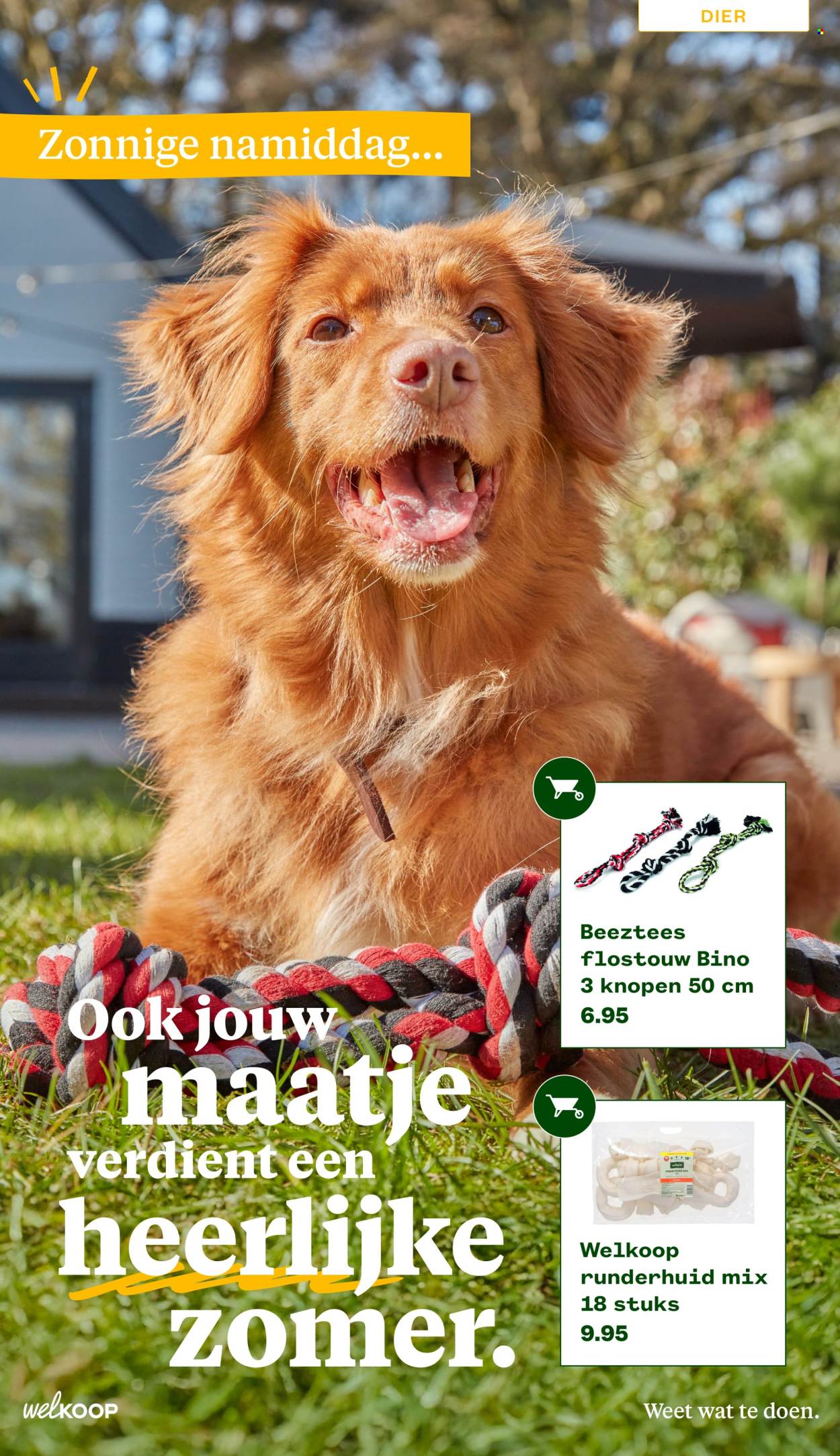 Welkoop-aanbieding - 22-6-2026 - 23-8-2026. Pagina 16