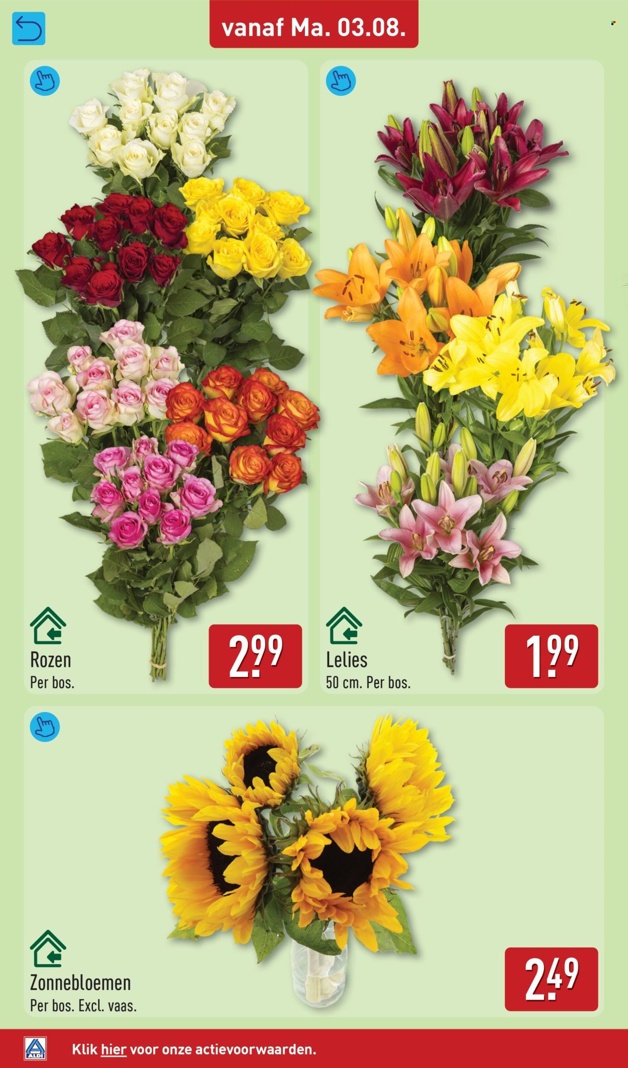 Aldi-aanbieding - 3-8-2026 - 9-8-2026. Pagina 30
