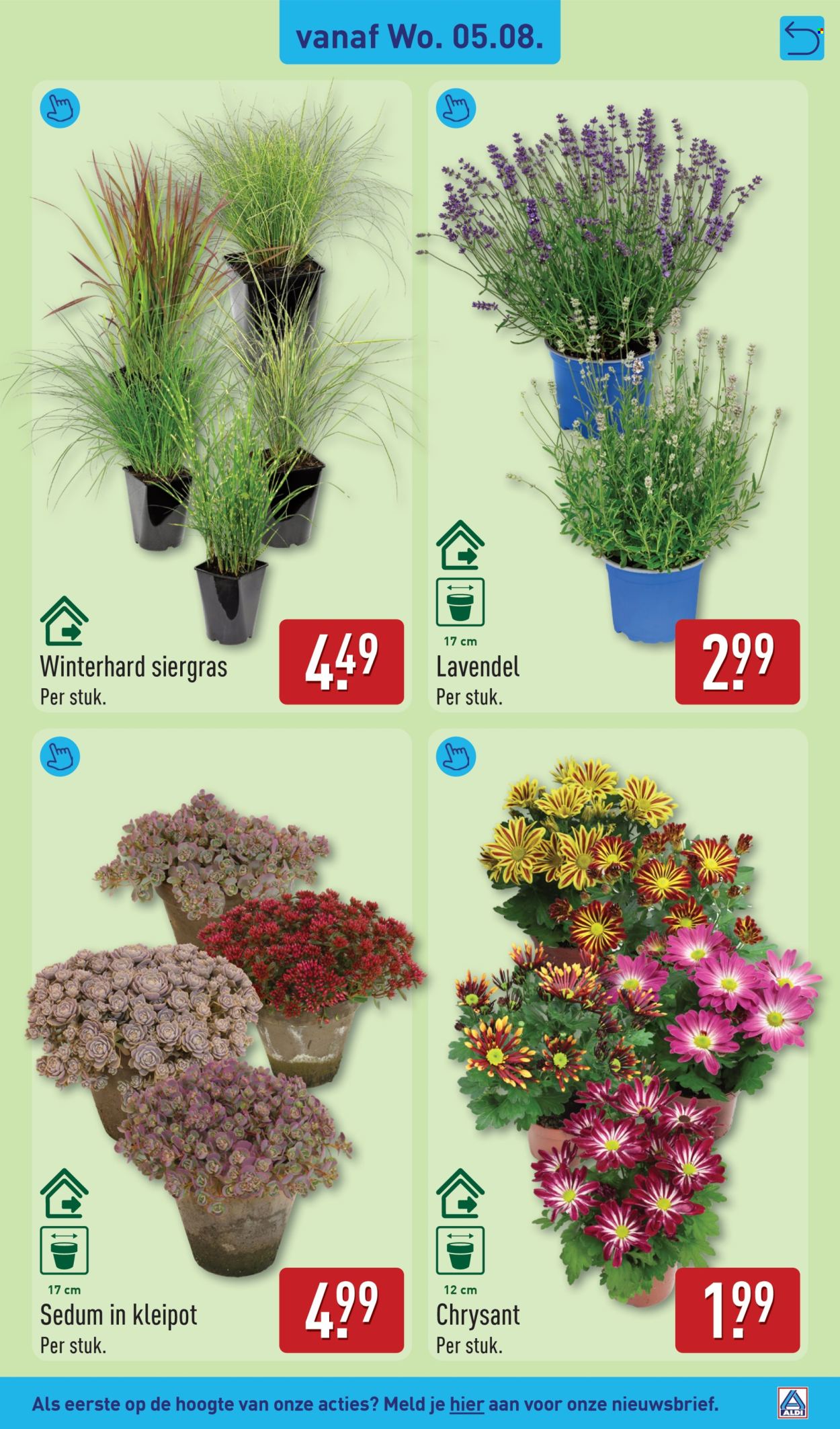 Aldi-aanbieding - 3-8-2026 - 9-8-2026. Pagina 31