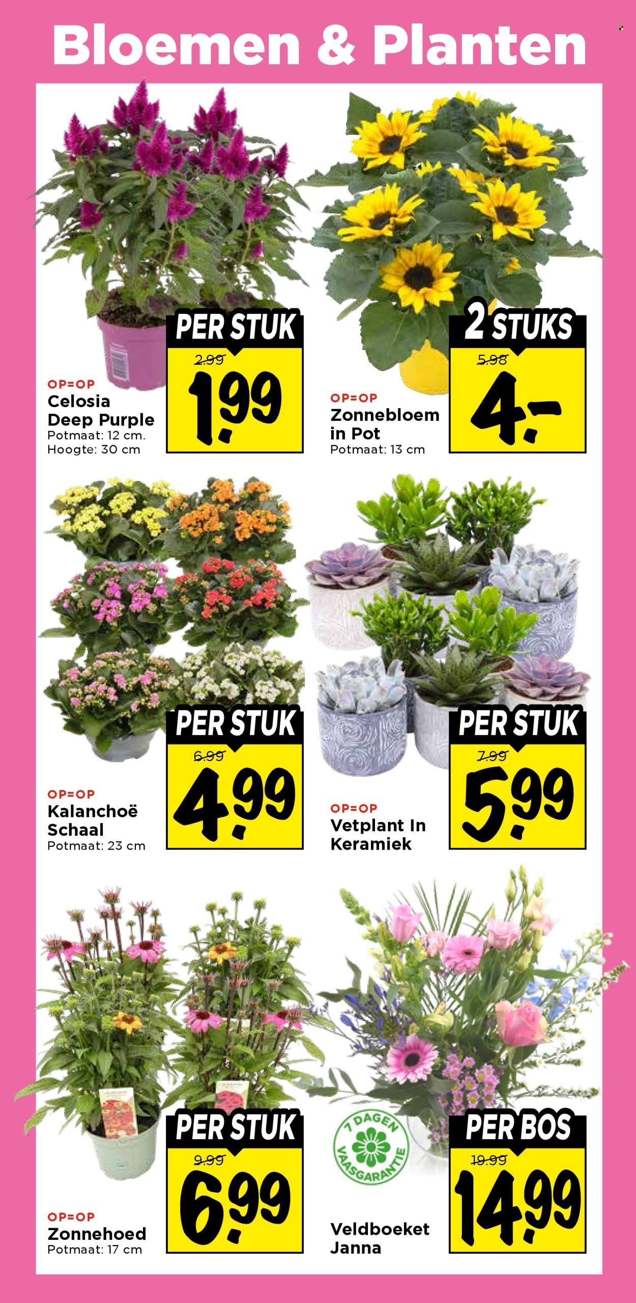 Vomar-aanbieding - 30-7-2026 - 1-8-2026. Pagina 35