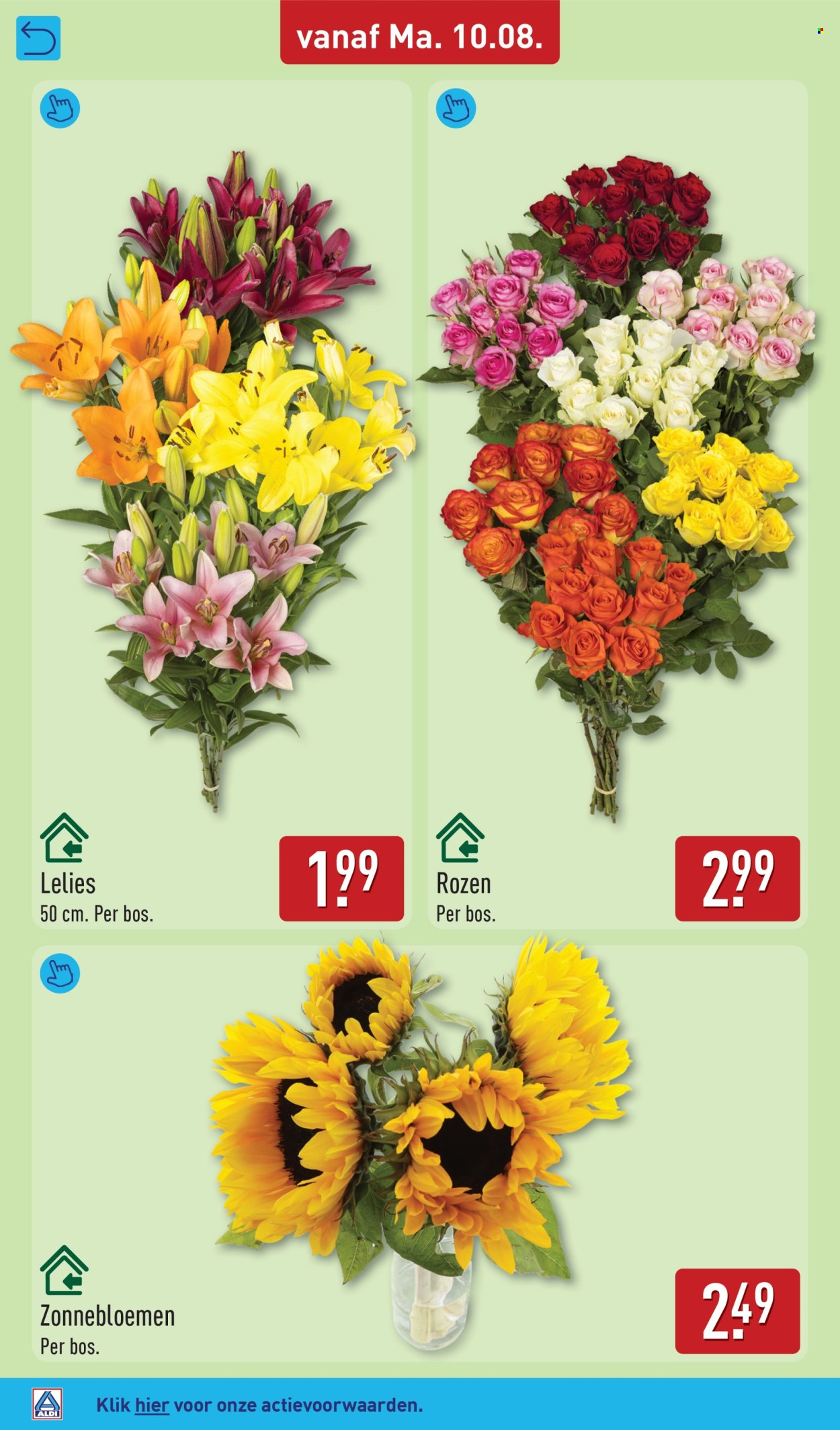 Aldi-aanbieding - 10-8-2026 - 16-8-2026. Pagina 30