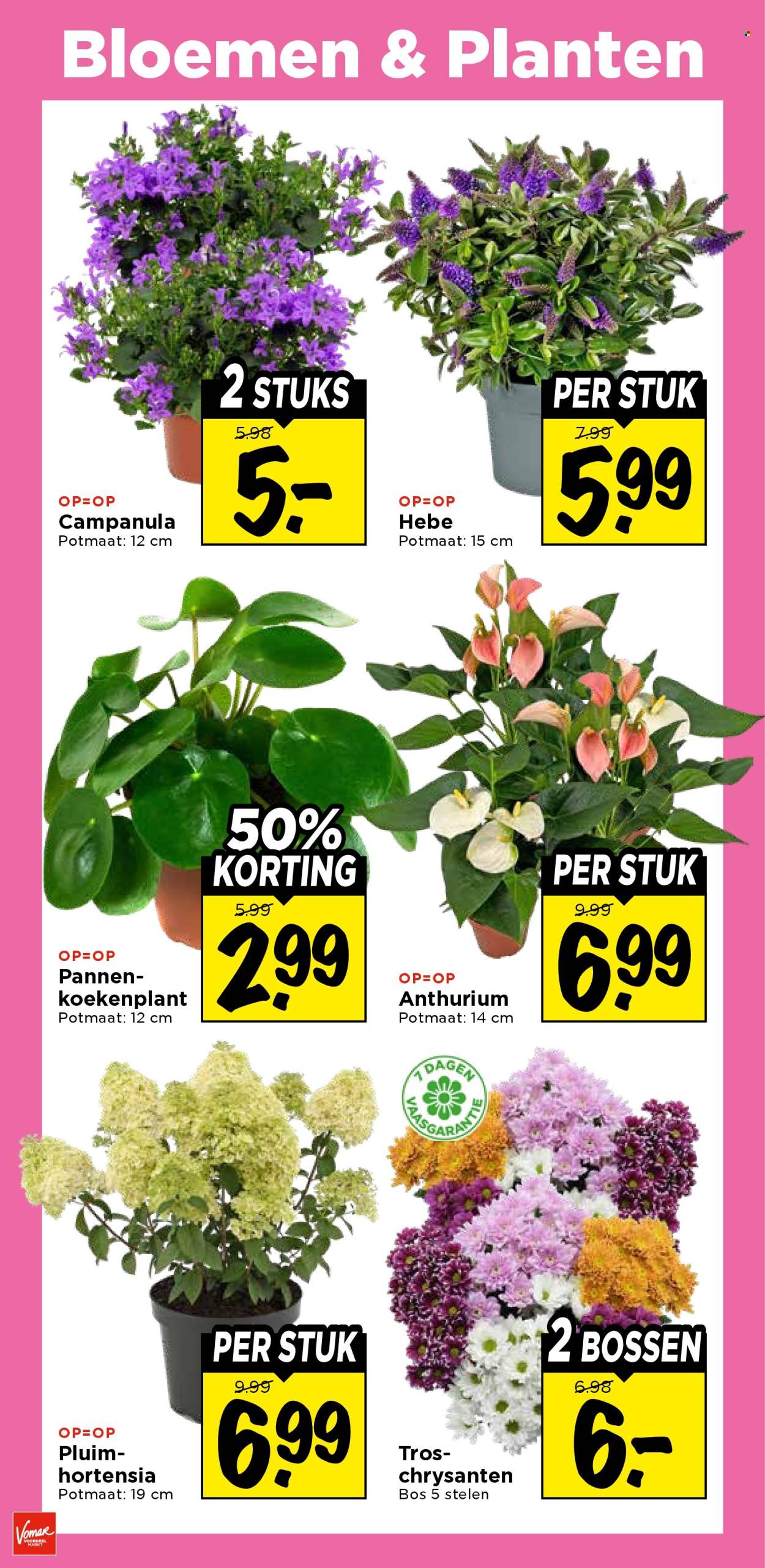 Vomar-aanbieding - 6-8-2026 - 8-8-2026. Pagina 32