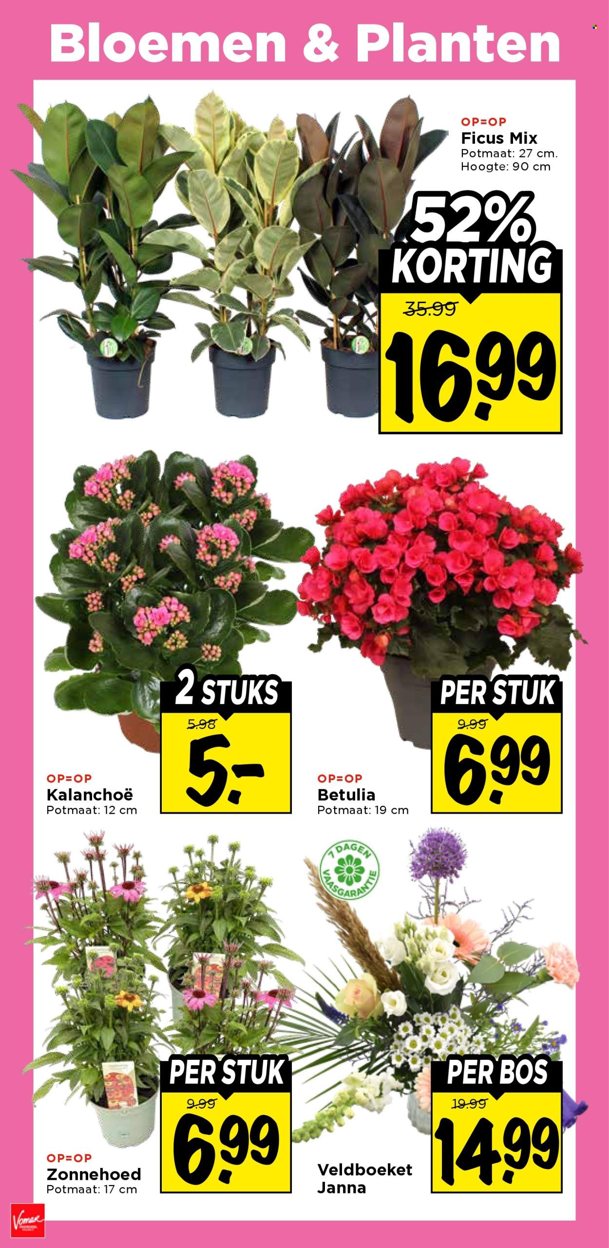 Vomar-aanbieding - 9-8-2026 - 15-8-2026. Pagina 26